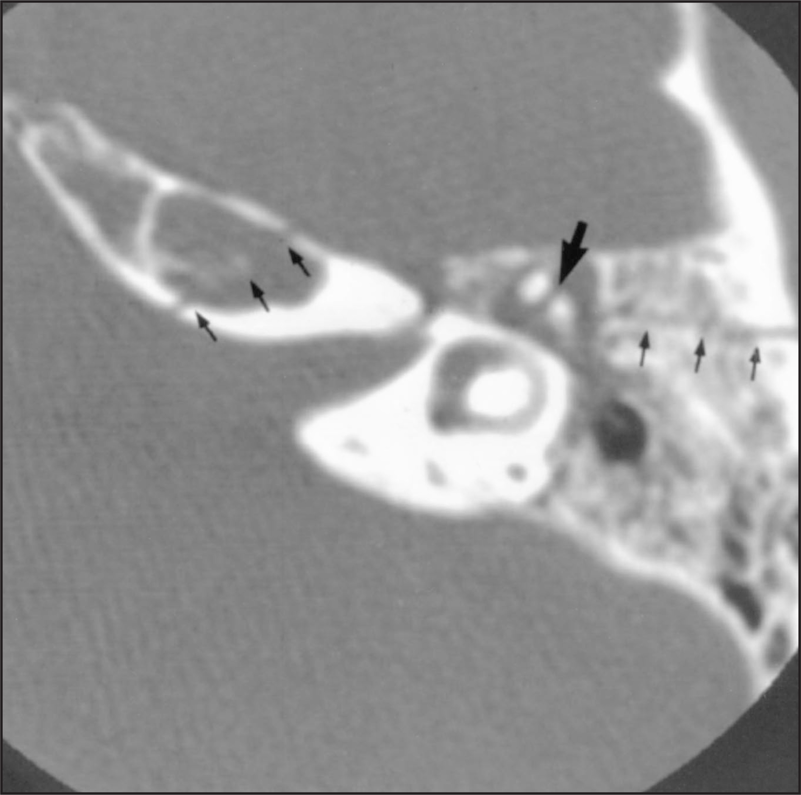 FIGURE 10.