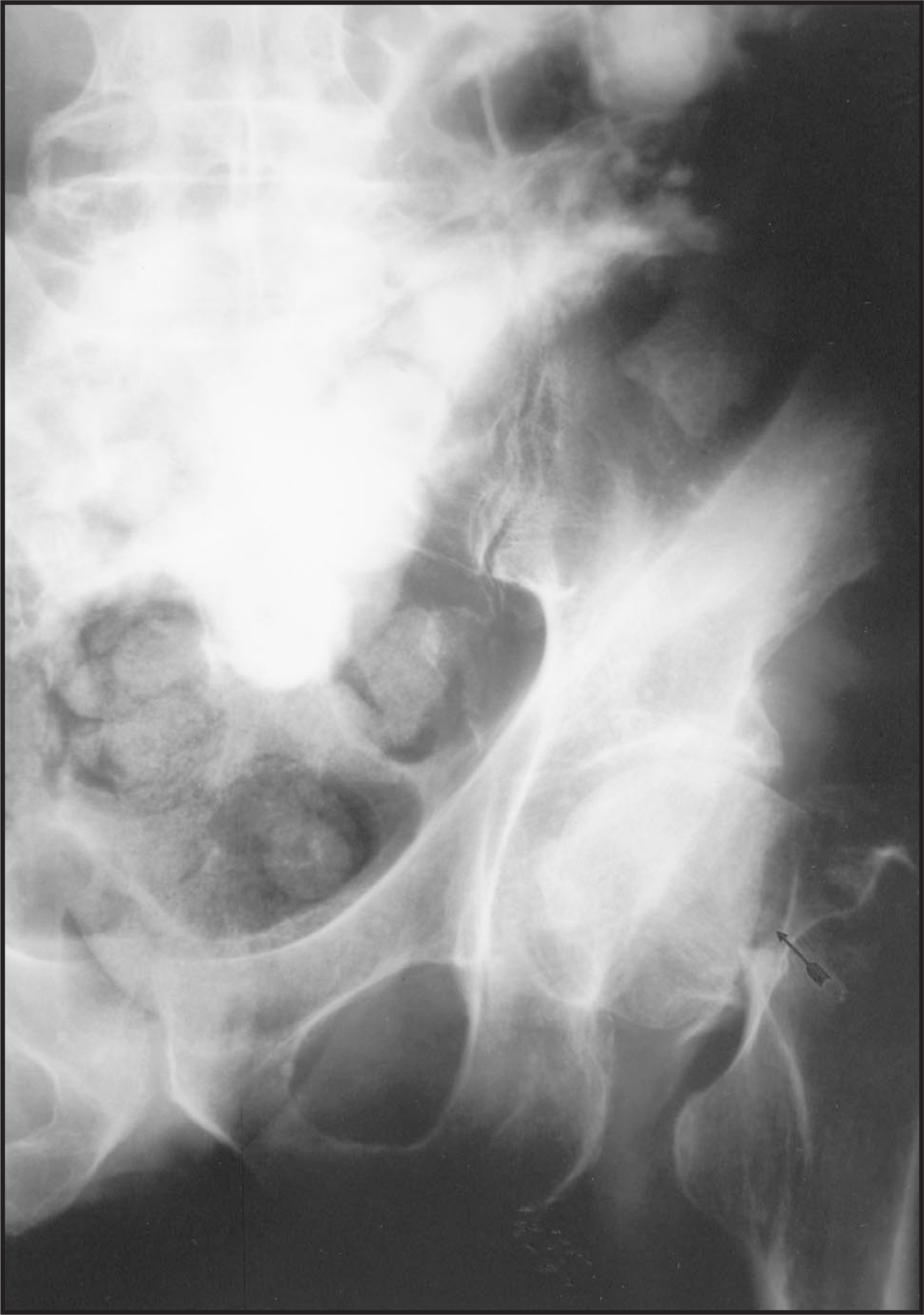 FIGURE 1.