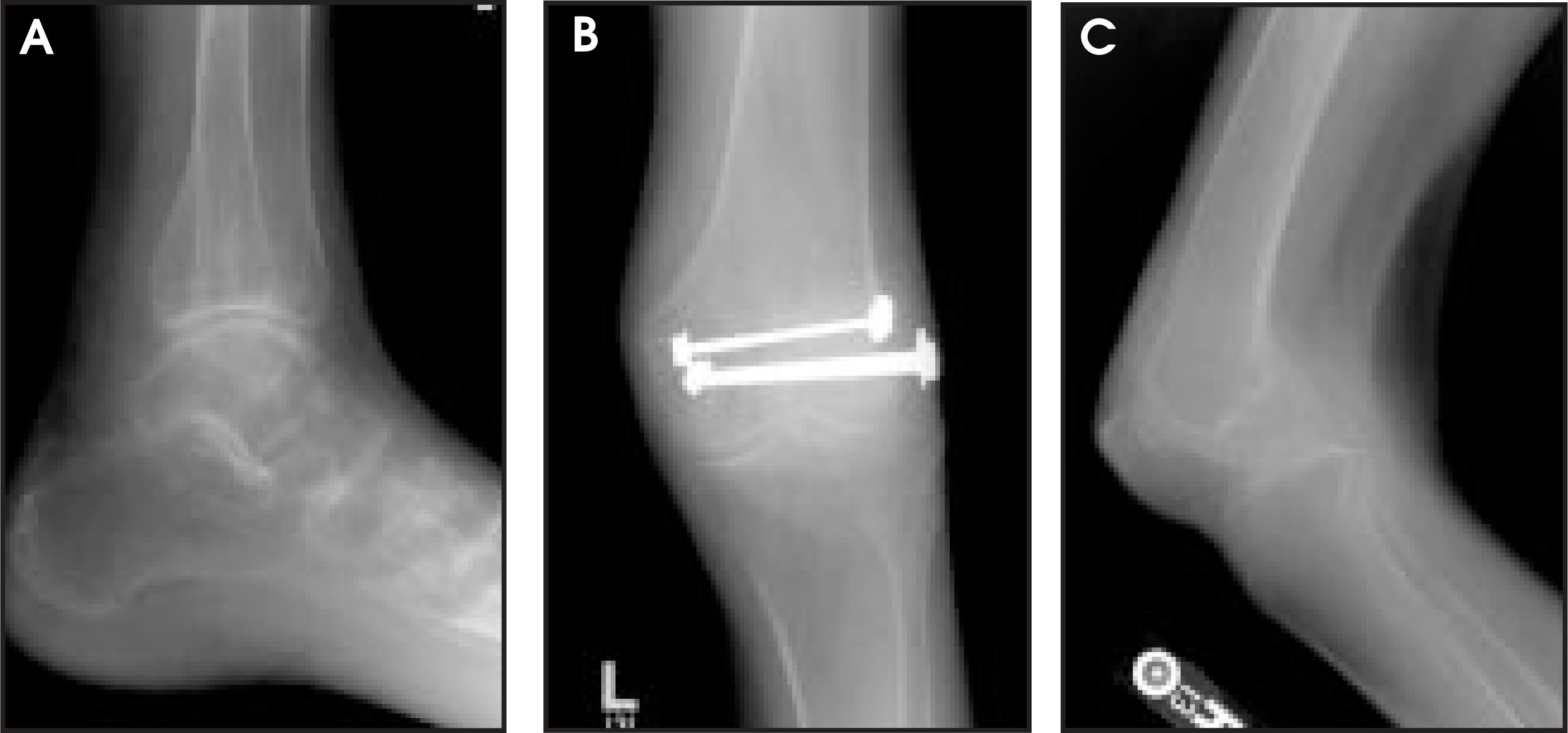 FIGURE 1.