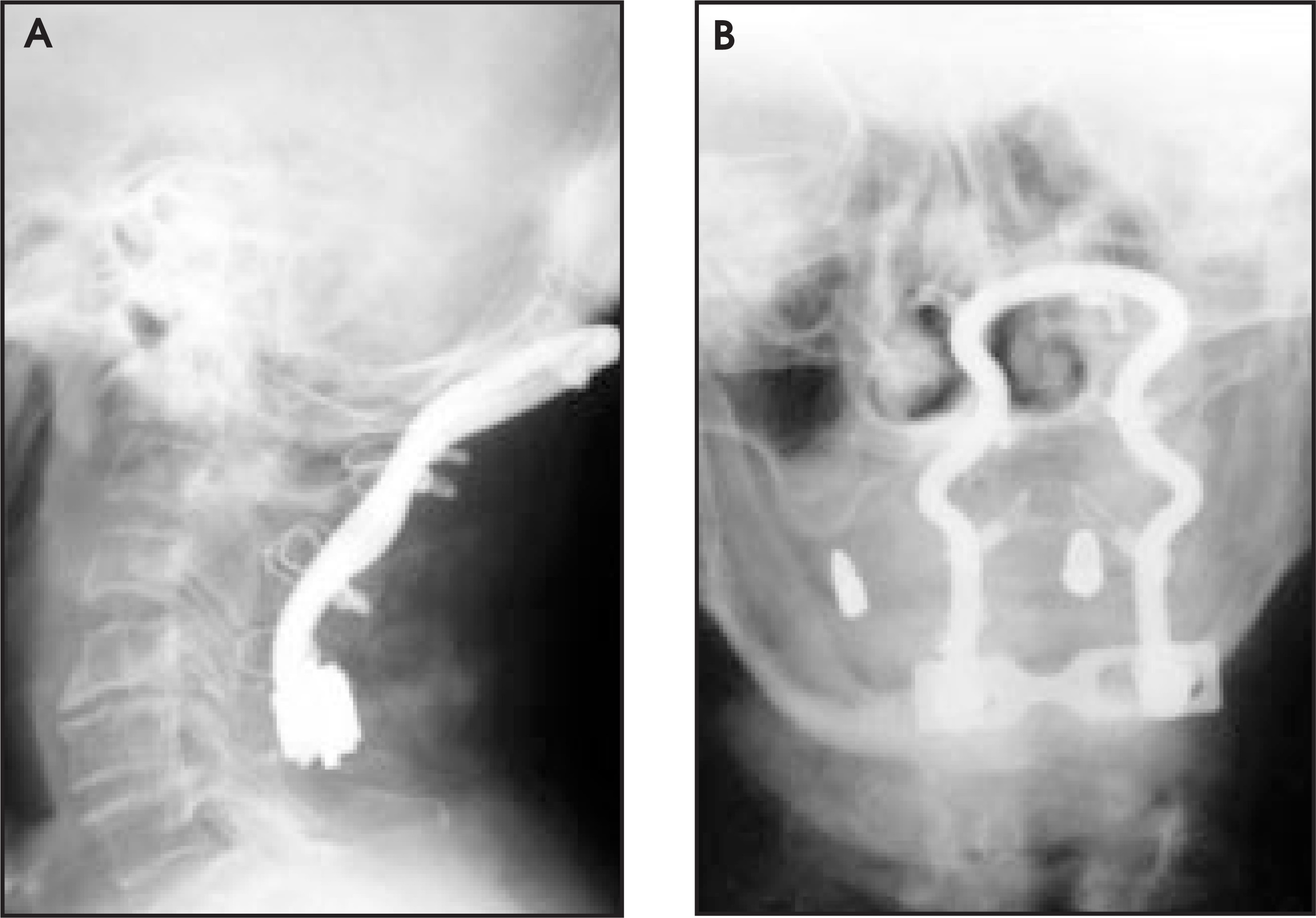 FIGURE 1.