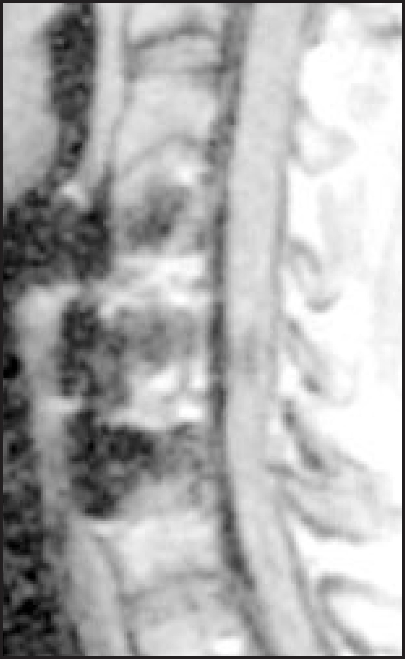 FIGURE 9.