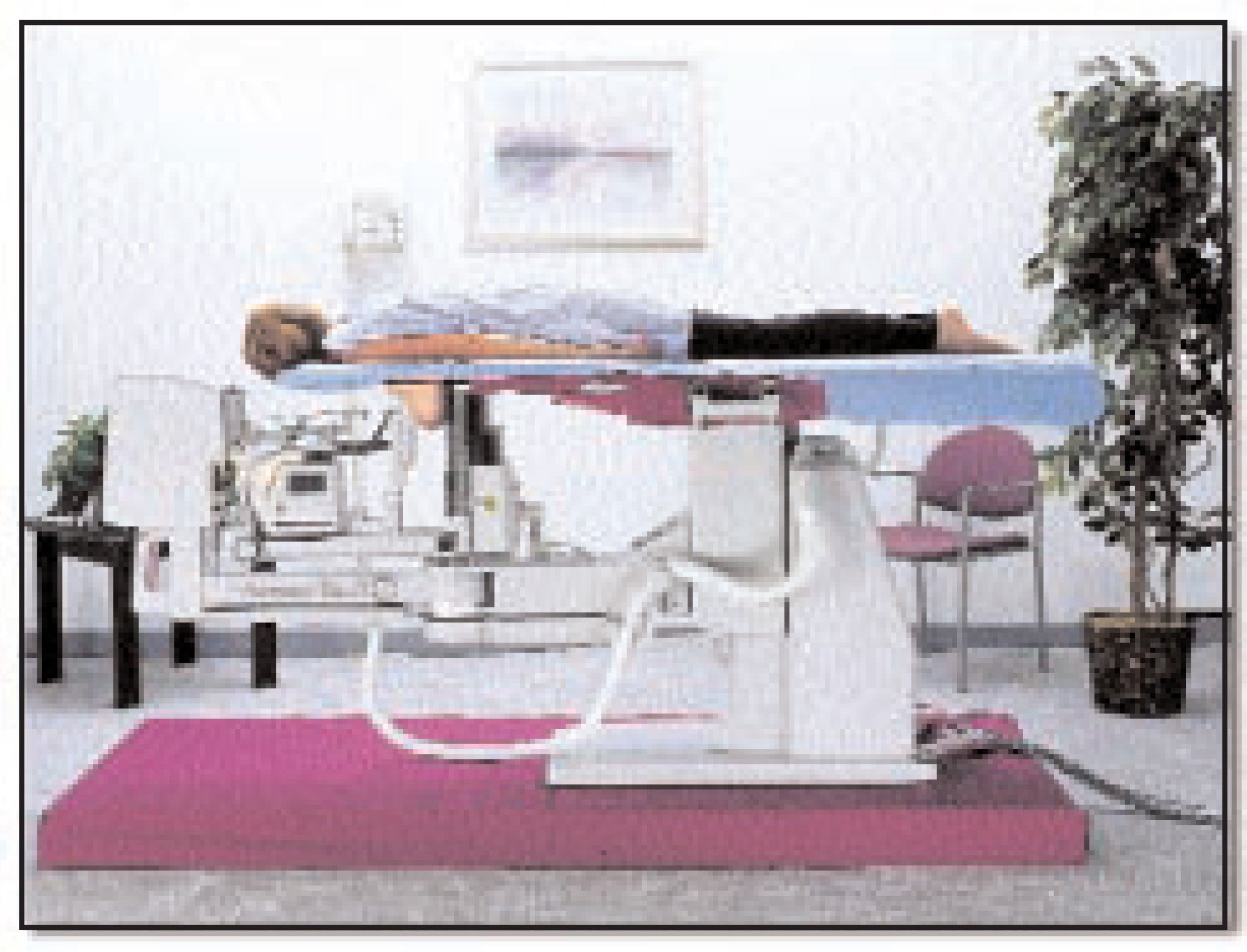 FIGURE 1.