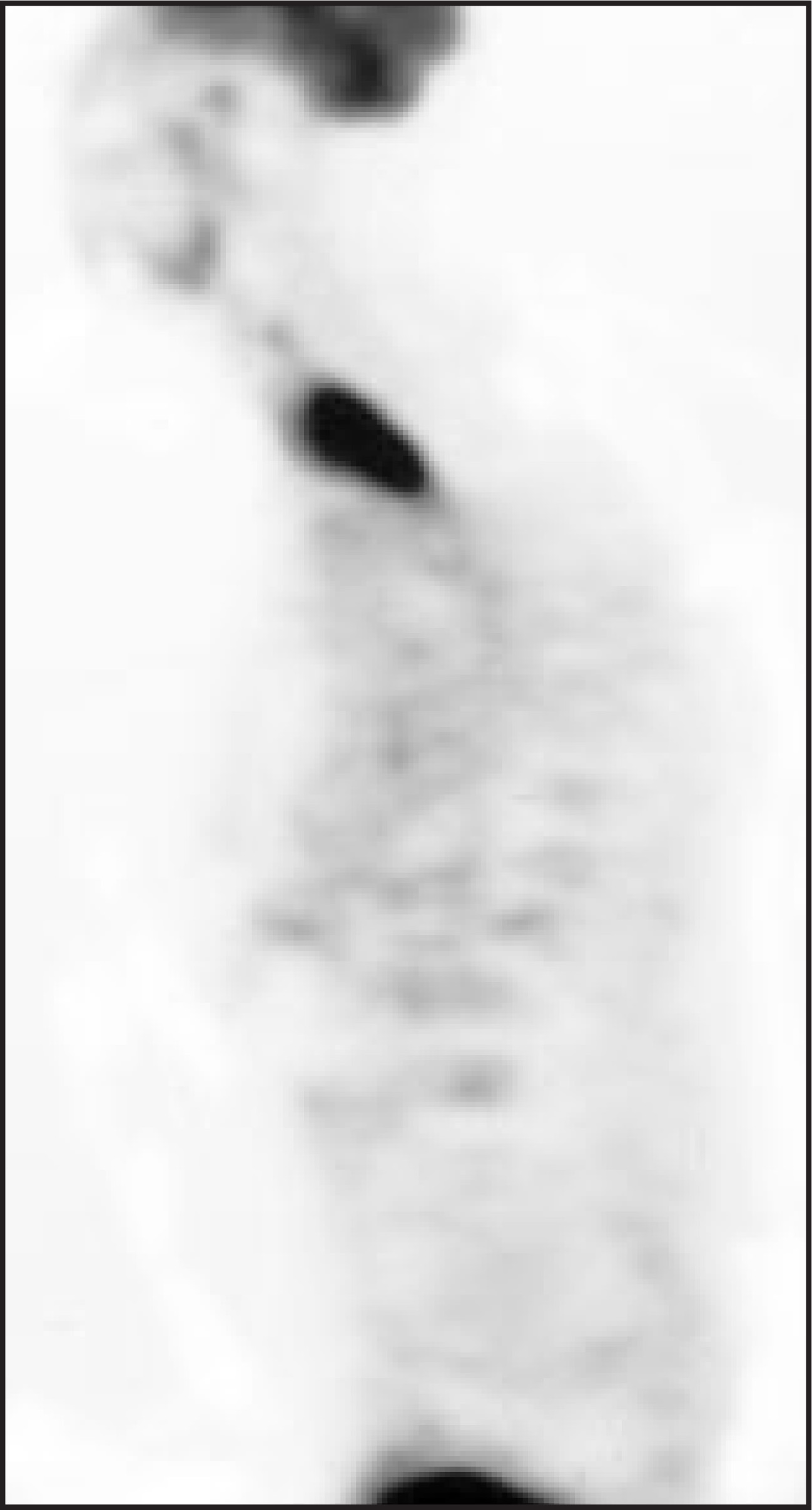 FIGURE 8.