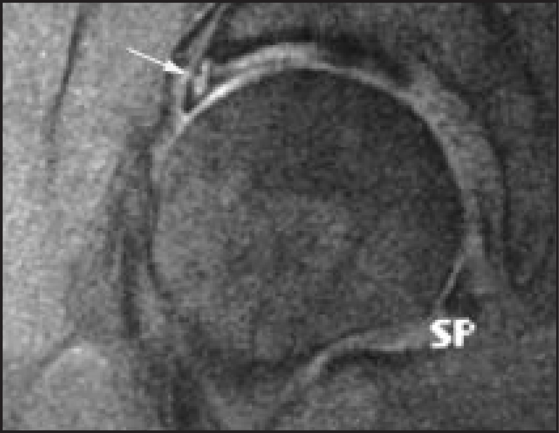 FIGURE 9.