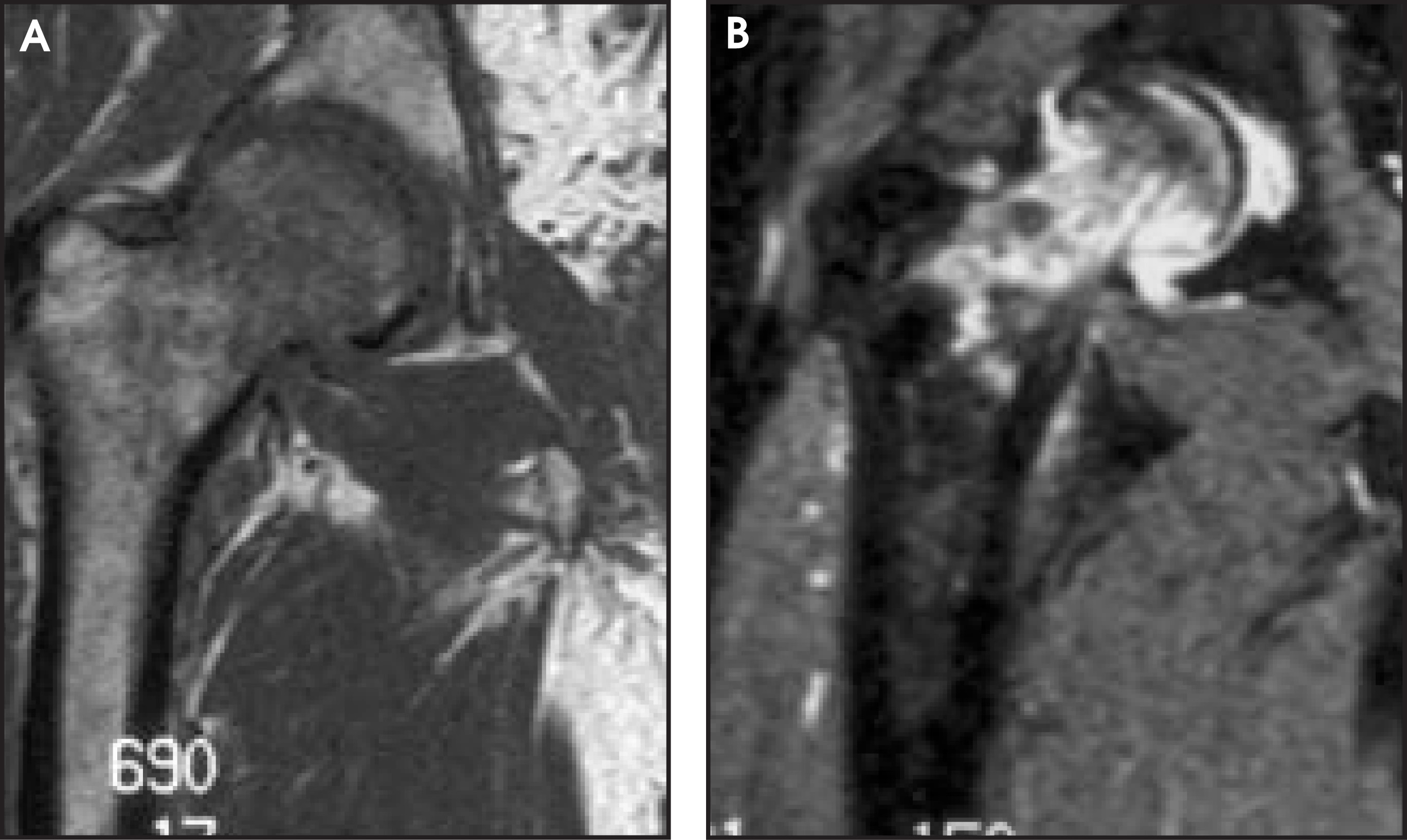 FIGURE 11.