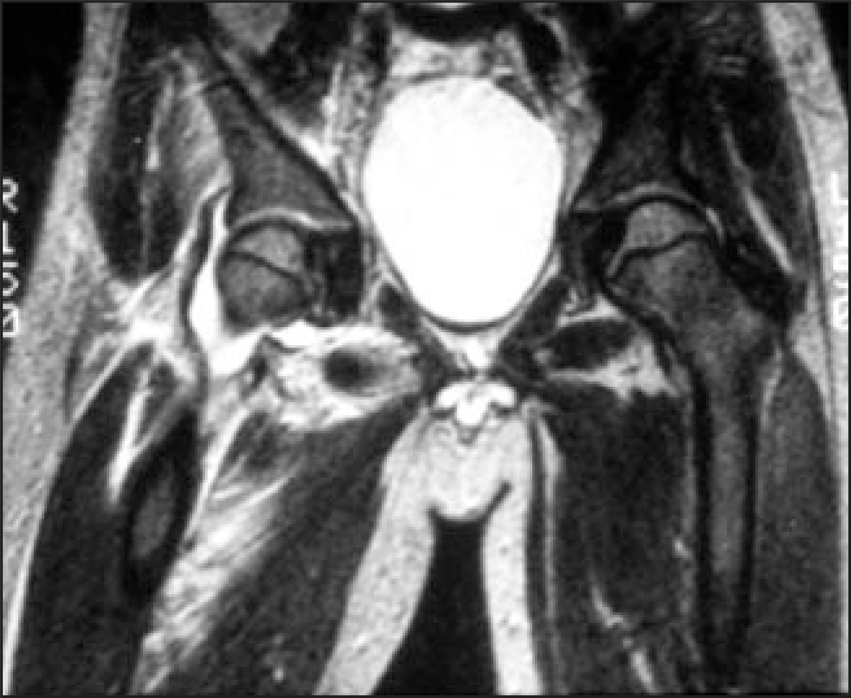 FIGURE 12.