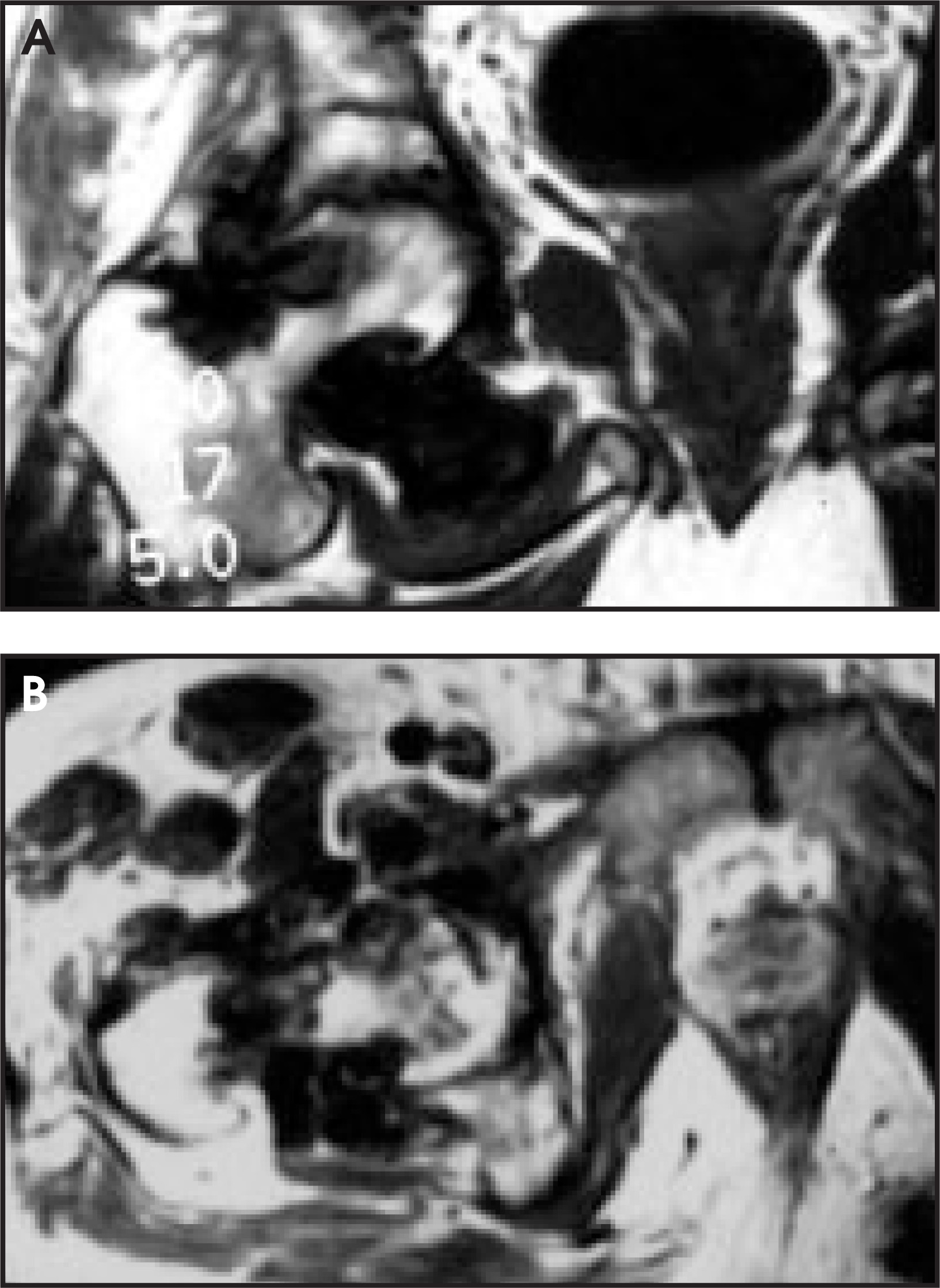 FIGURE 15.