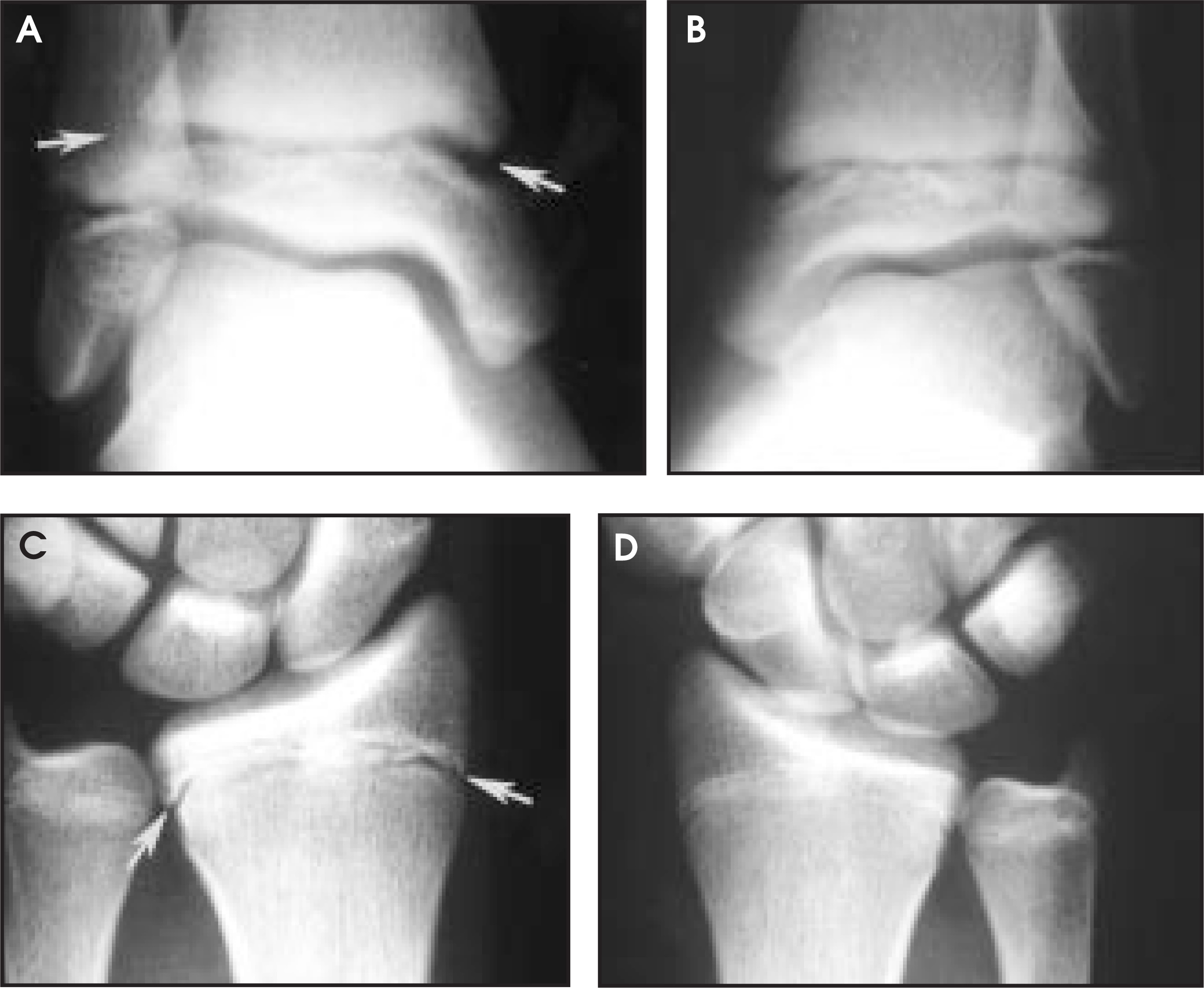 FIGURE 1.