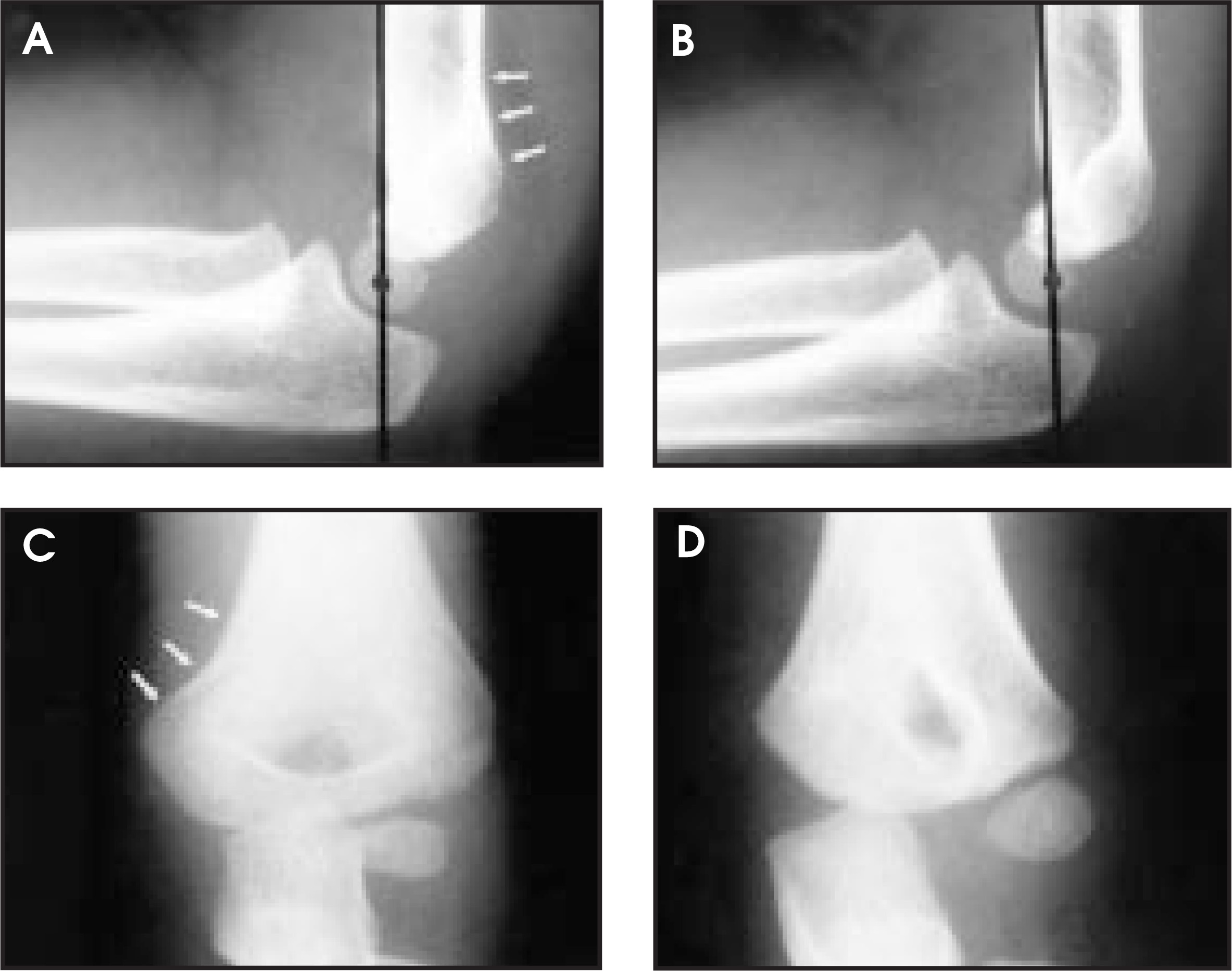 FIGURE 4.