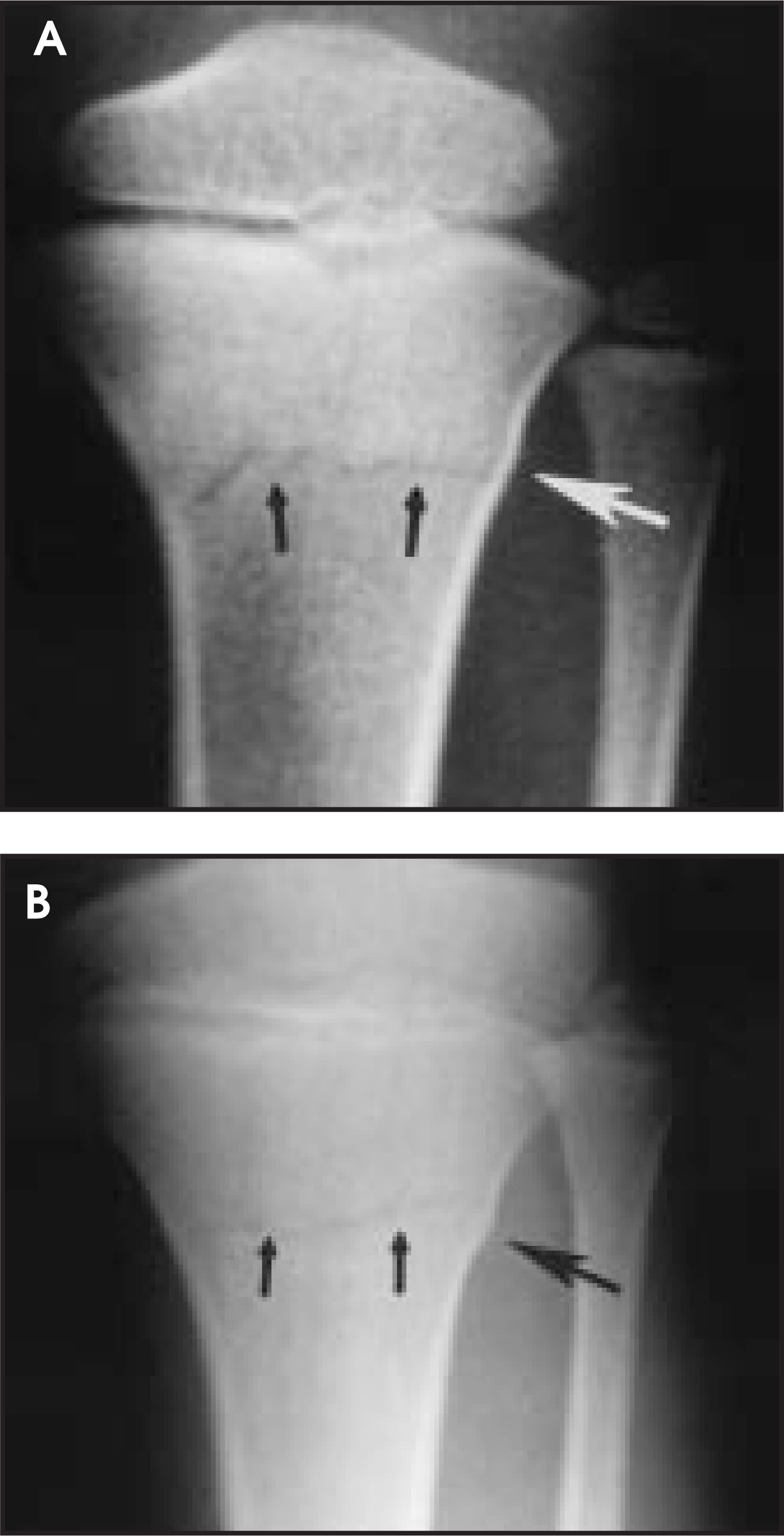 FIGURE 9.