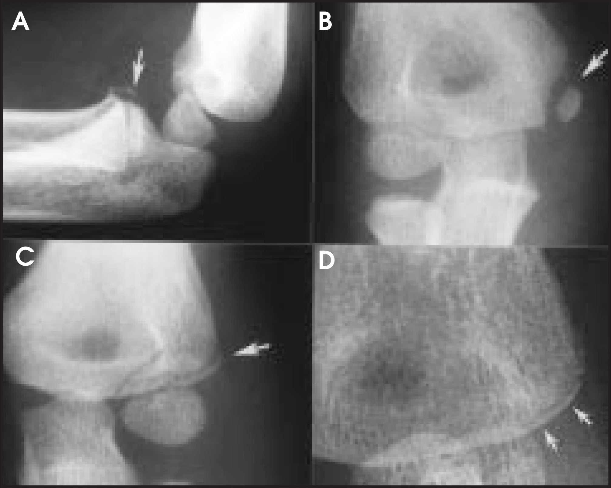 FIGURE 13.