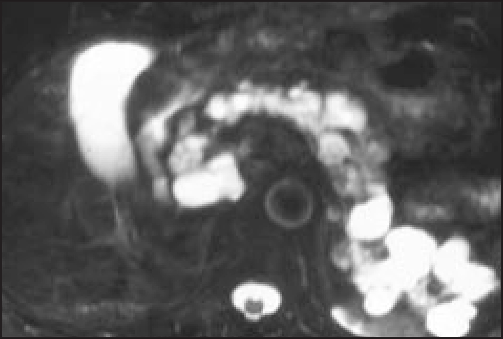 FIGURE 12.