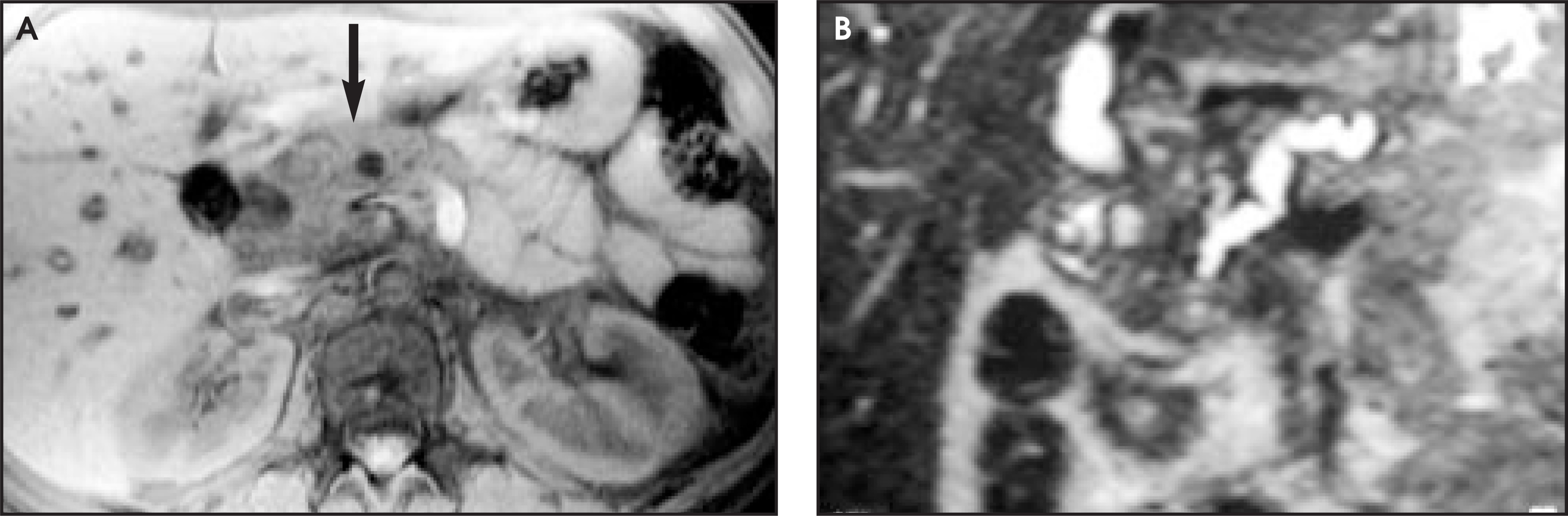FIGURE 13.