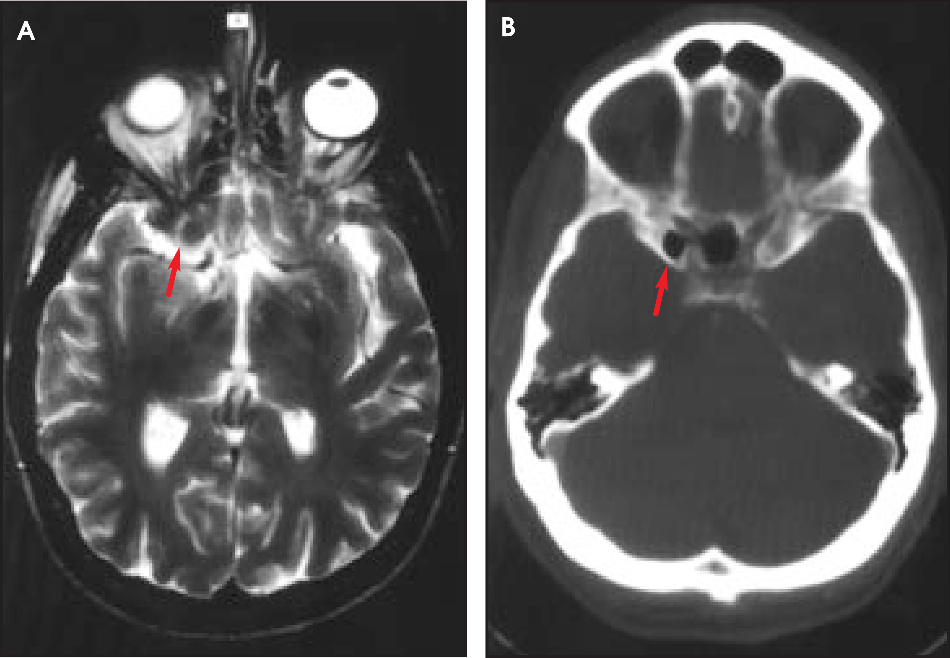 FIGURE 1.