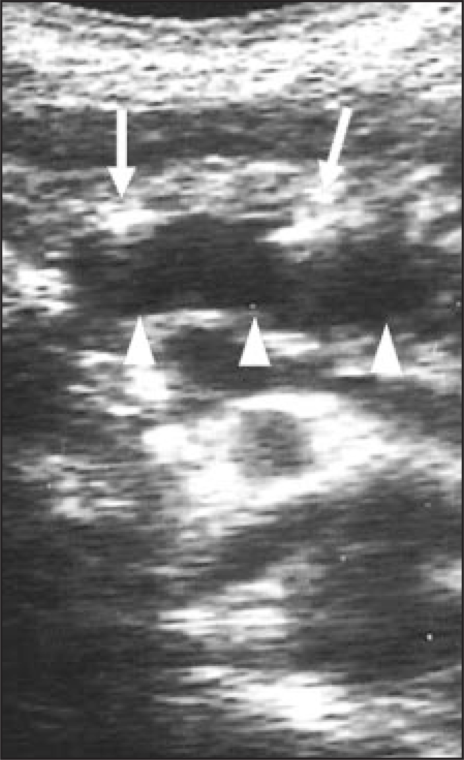FIGURE 9.