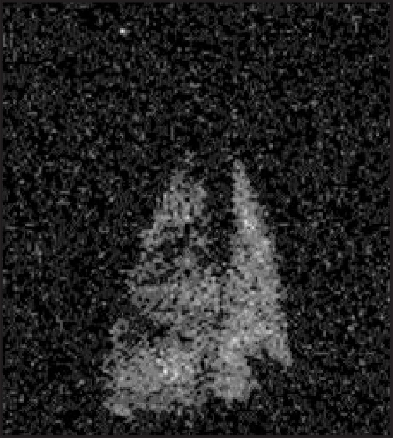 FIGURE 12.