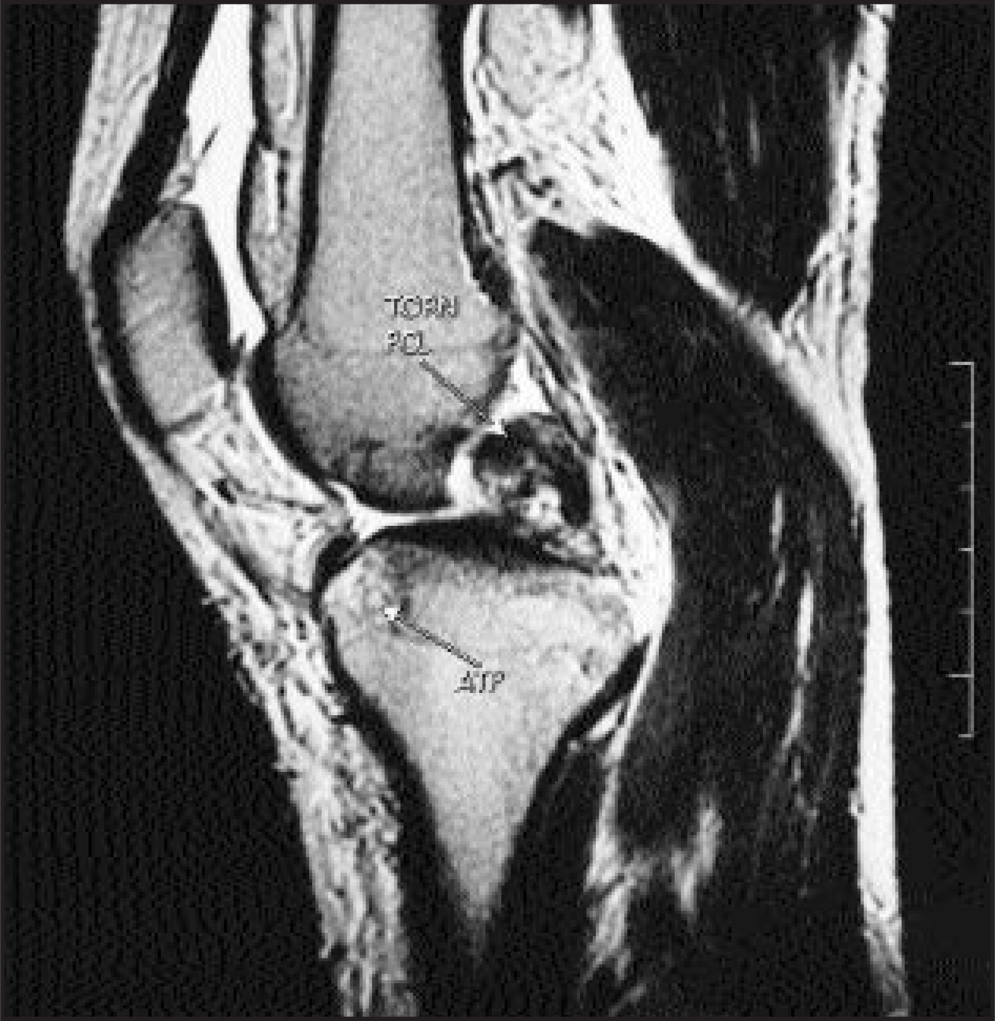 FIGURE 8.