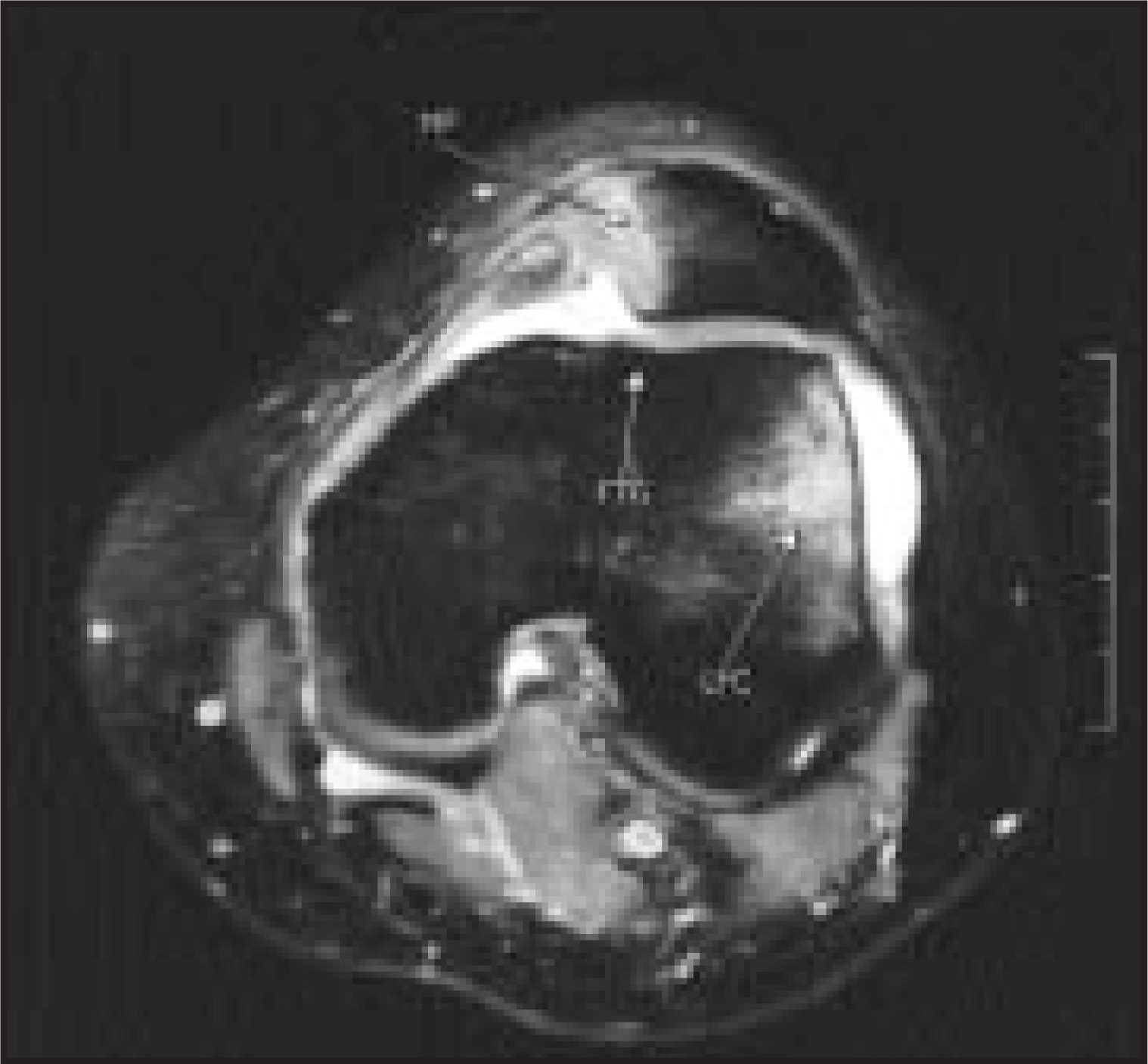FIGURE 10.