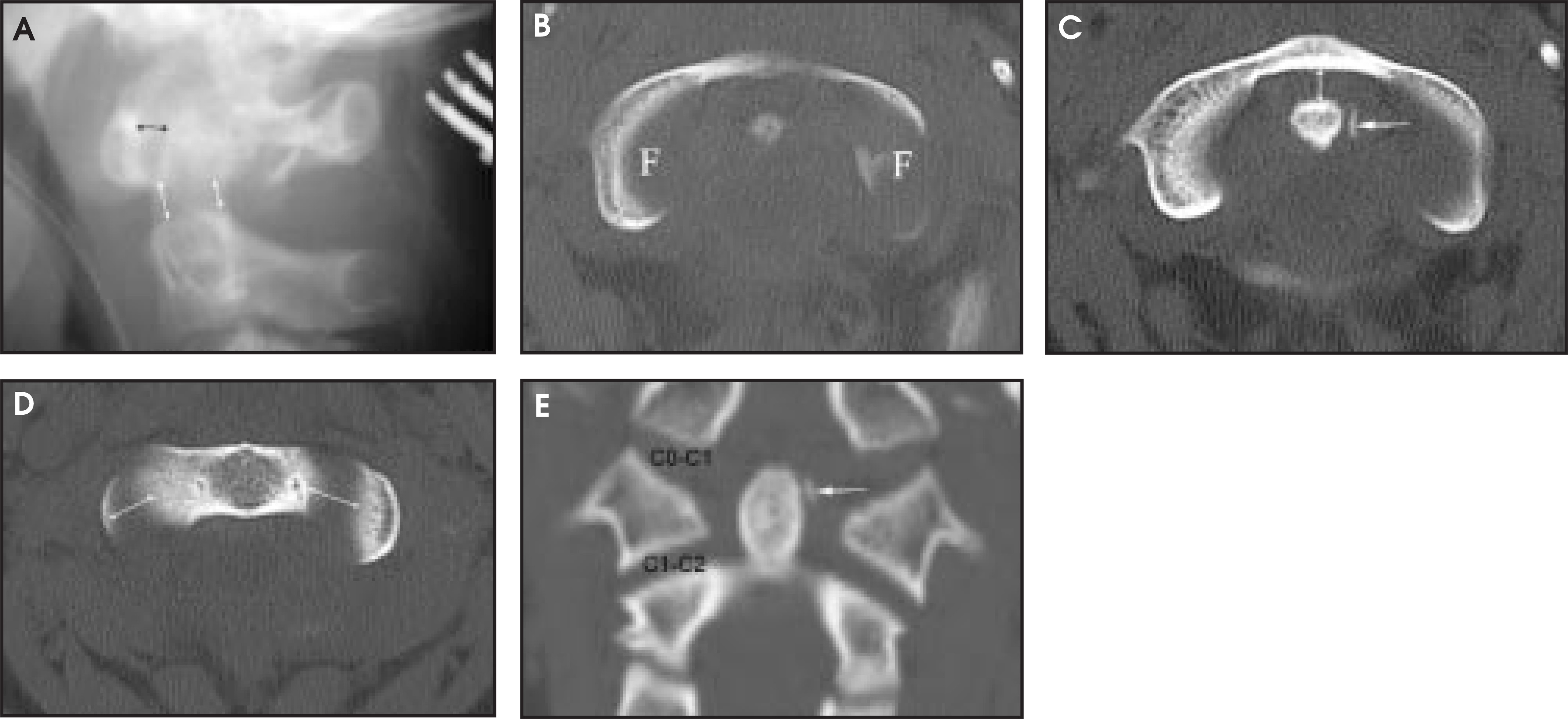 FIGURE 1.