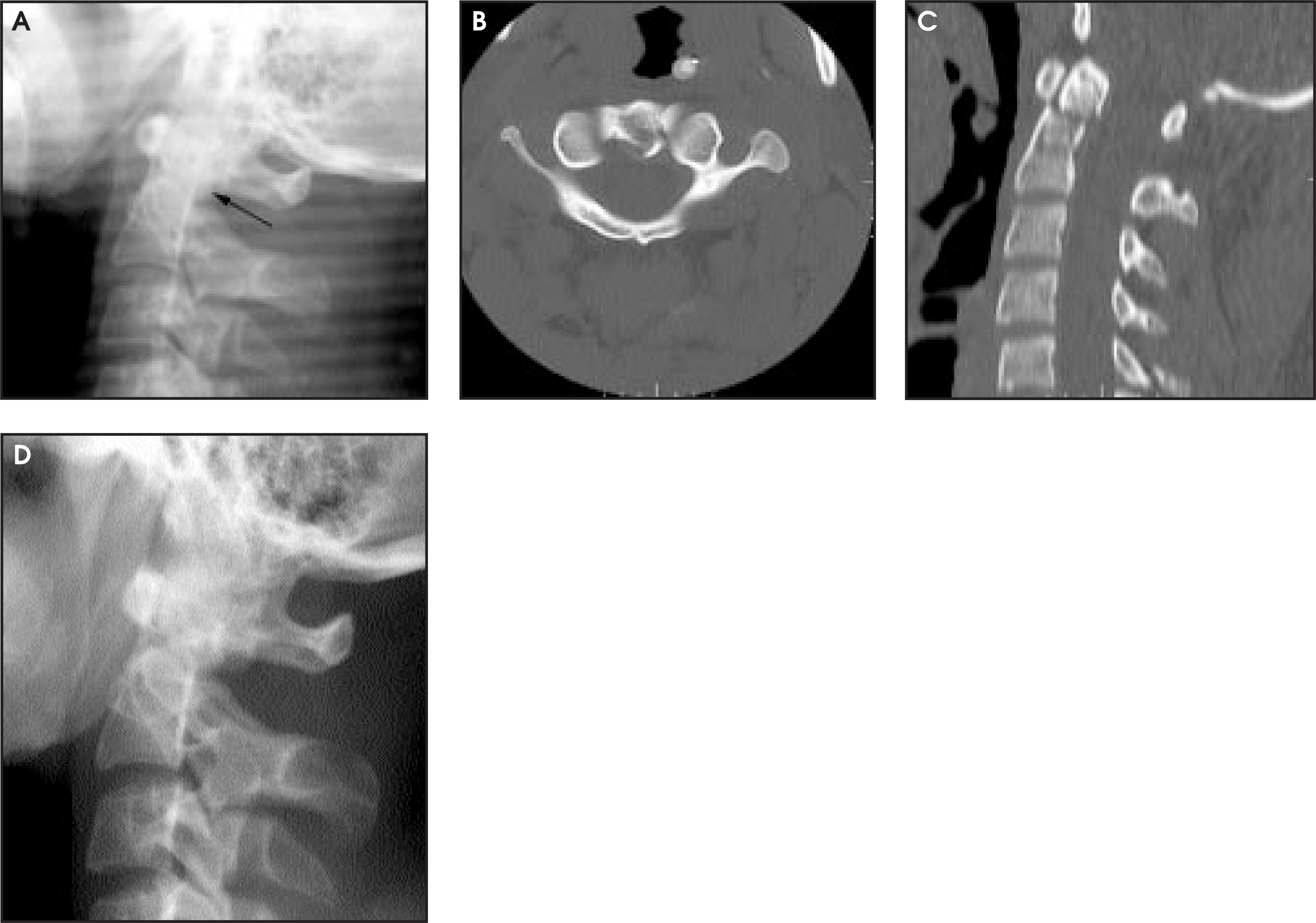 FIGURE 2.
