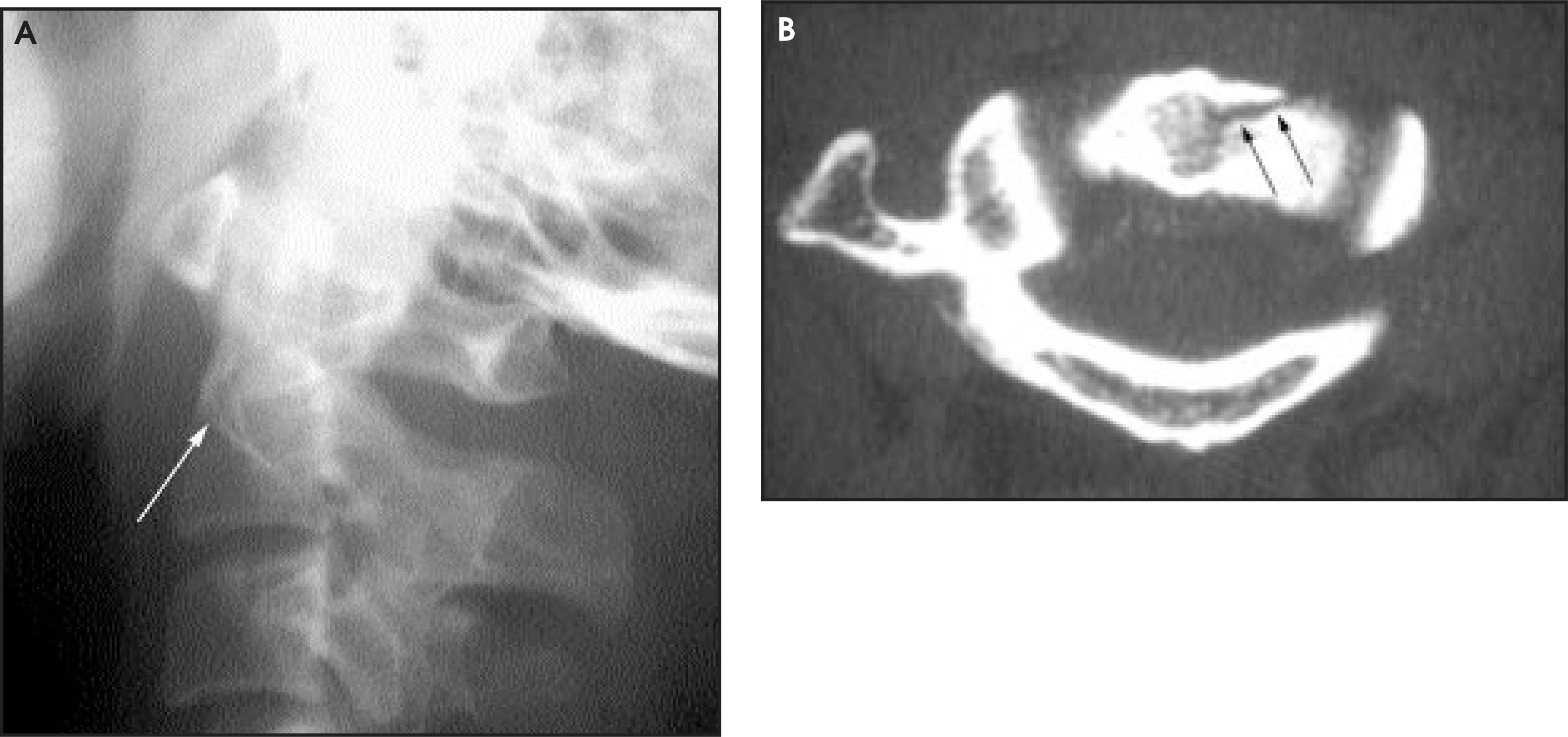 FIGURE 10.