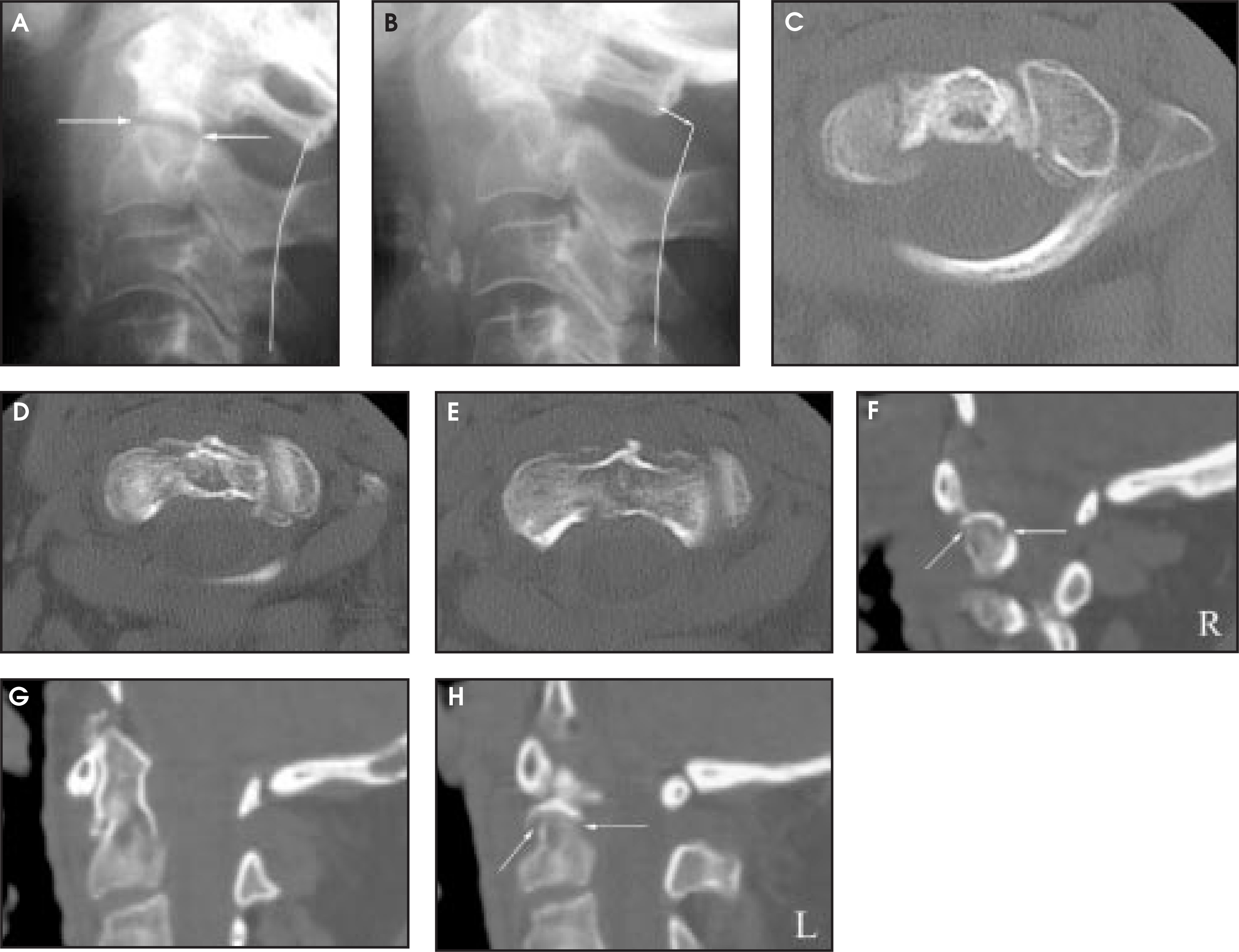 FIGURE 12.
