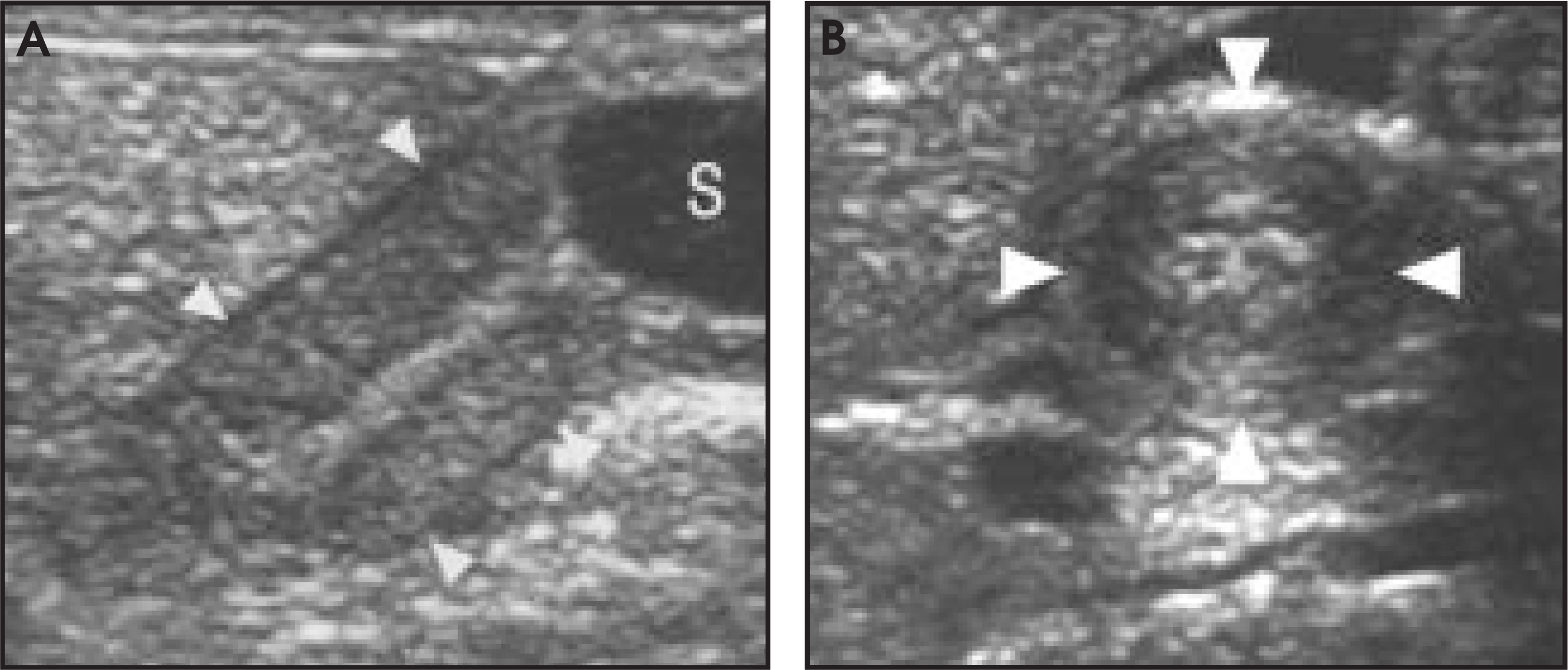 FIGURE 7.