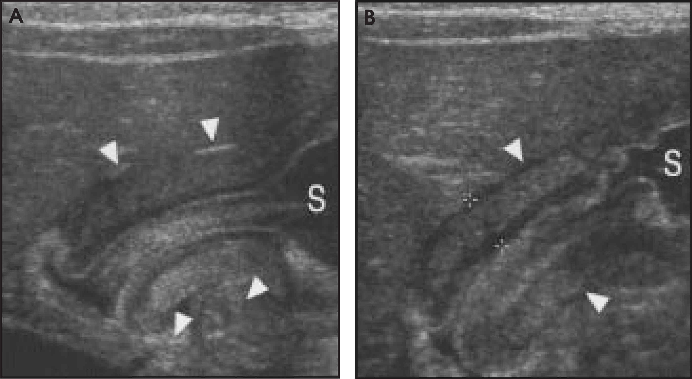 FIGURE 8.