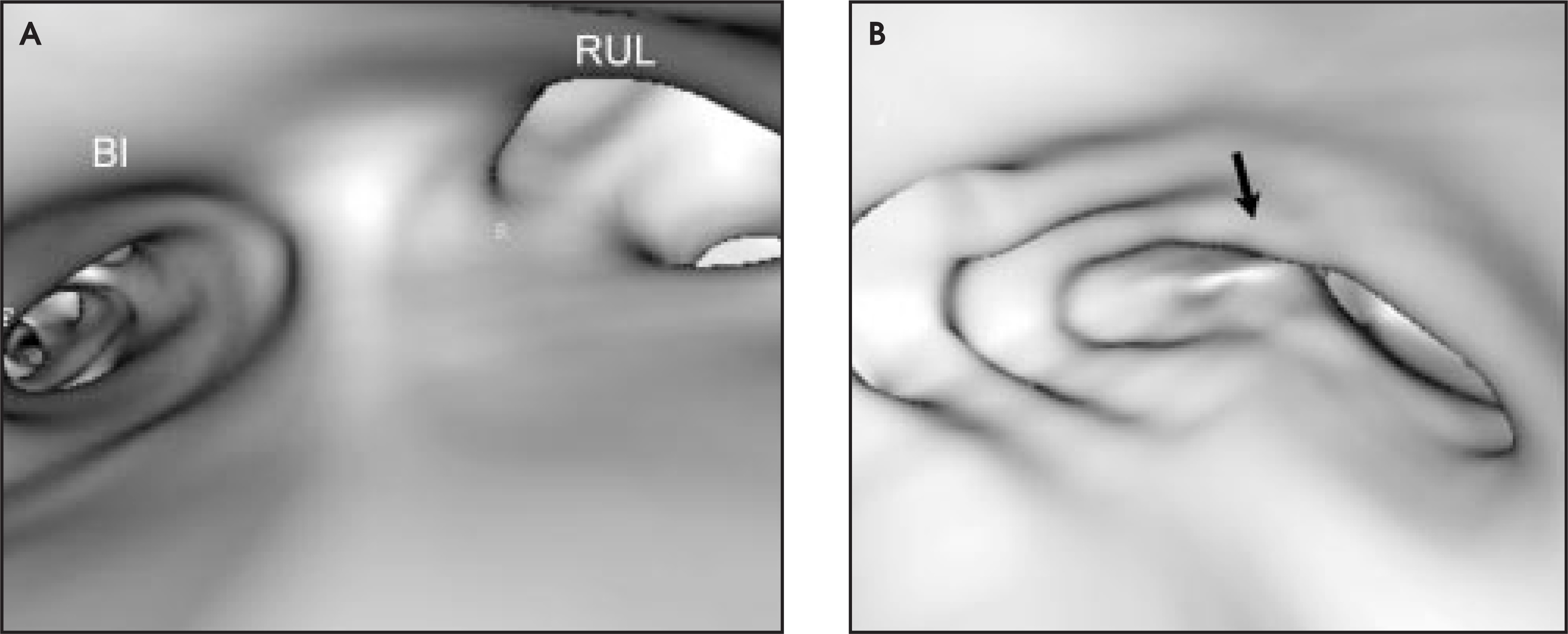 FIGURE 8.
