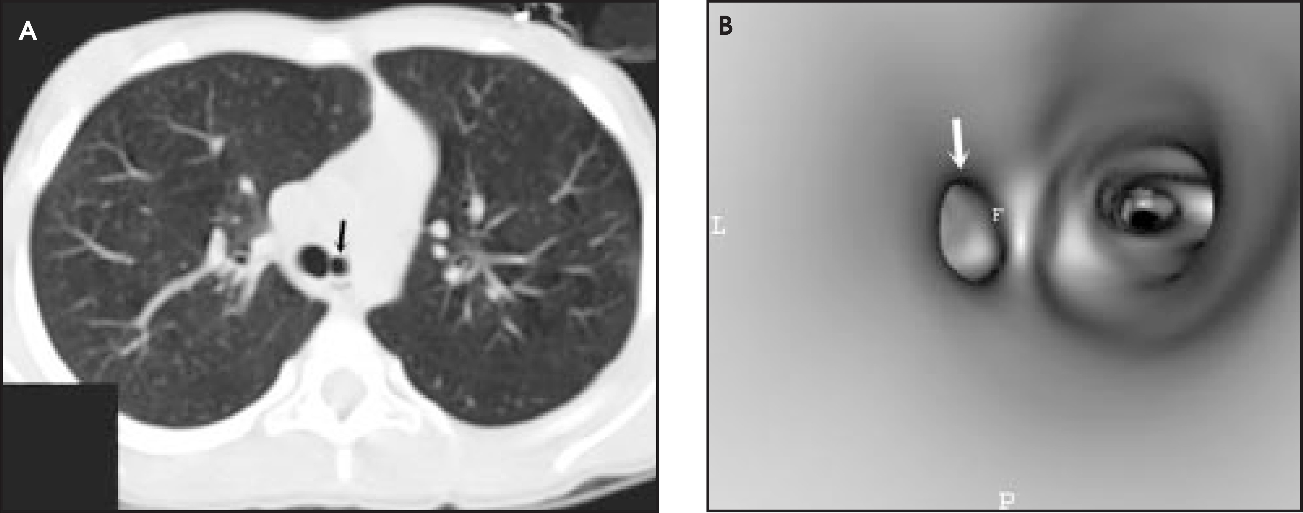 FIGURE 10.