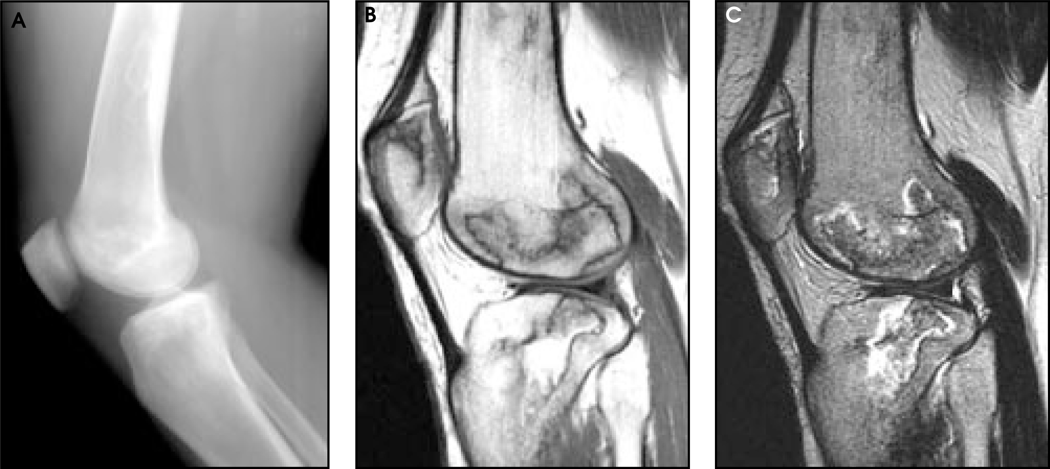 FIGURE 1.