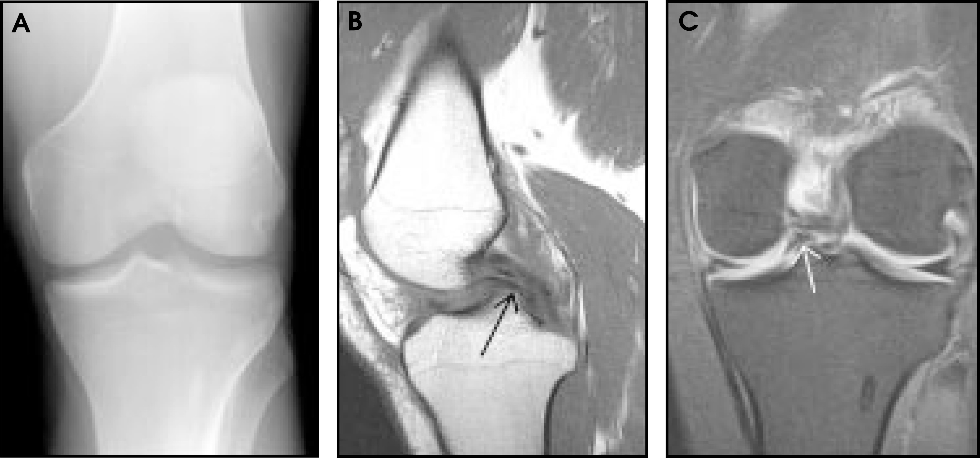 FIGURE 4.