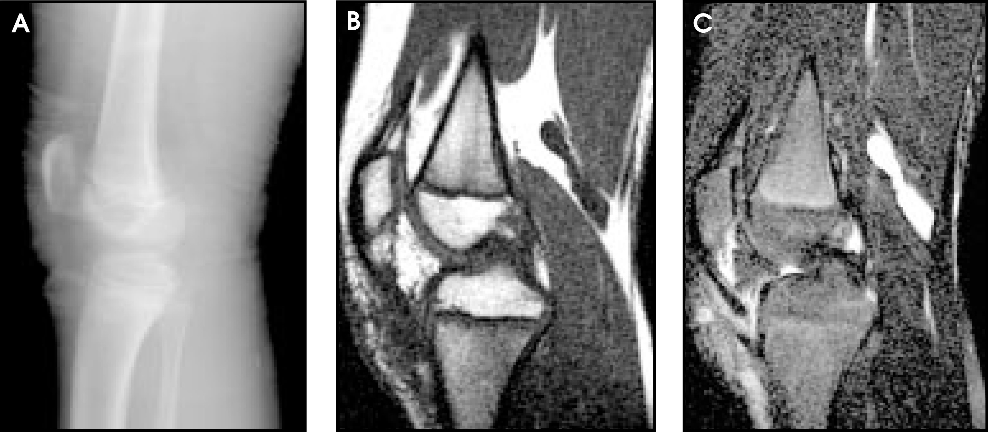 FIGURE 7.