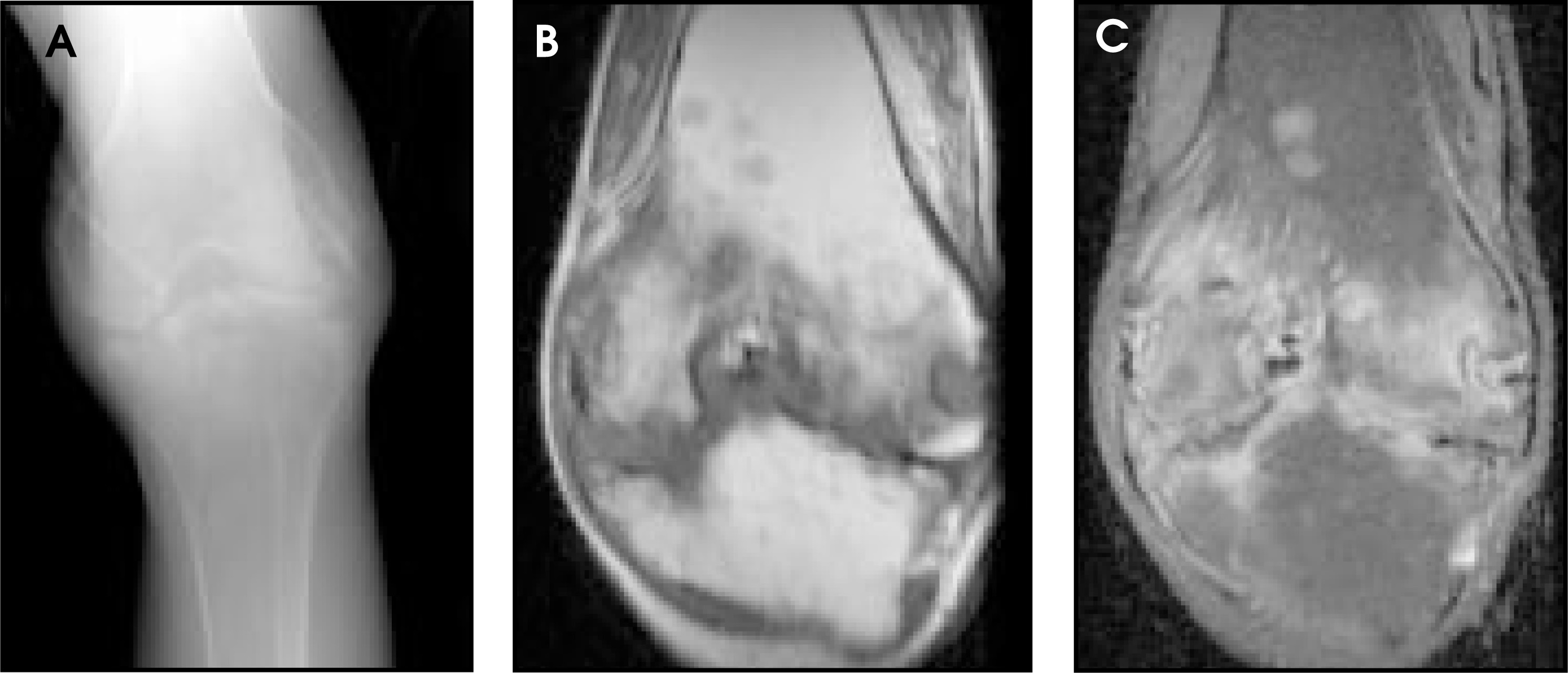 FIGURE 9.