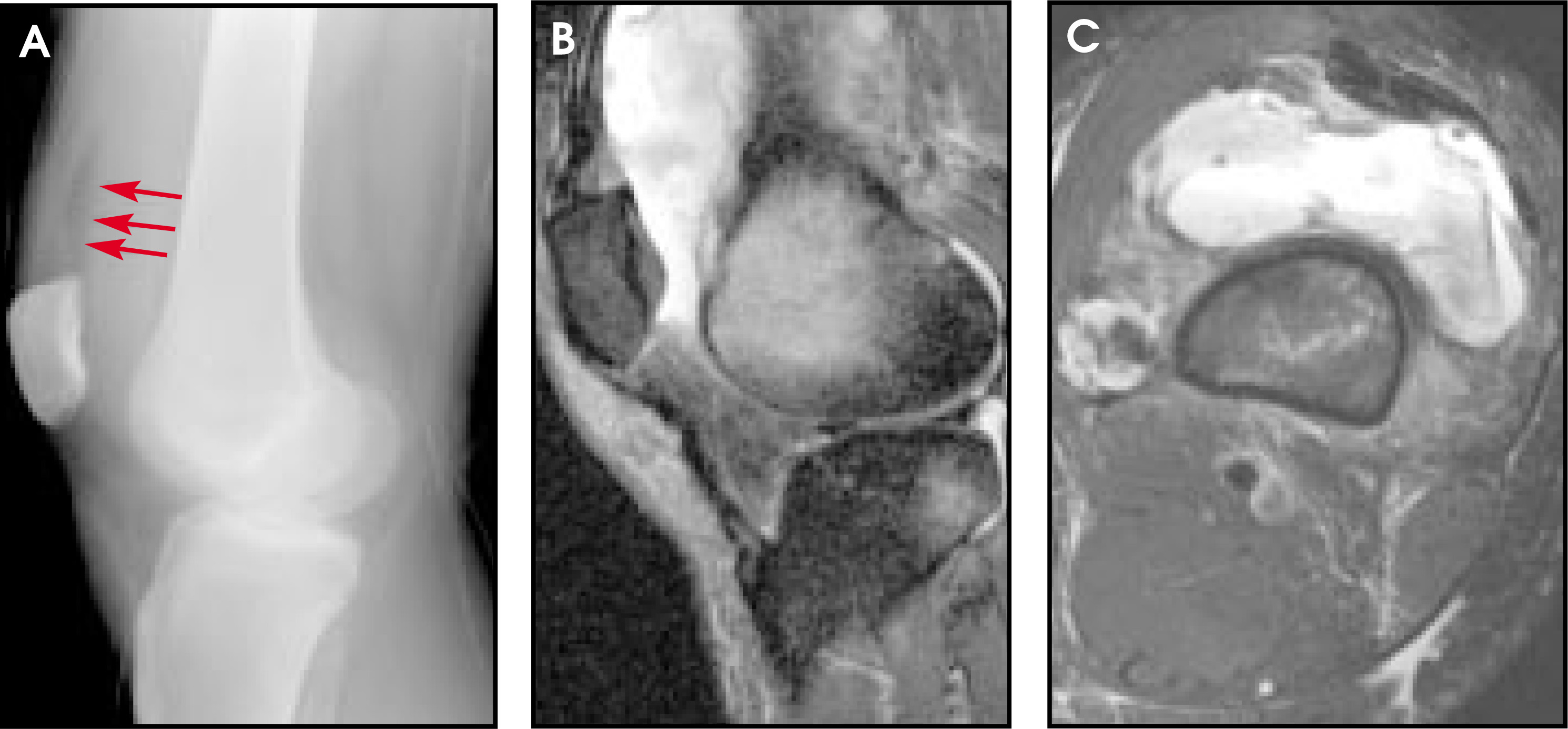 FIGURE 10.