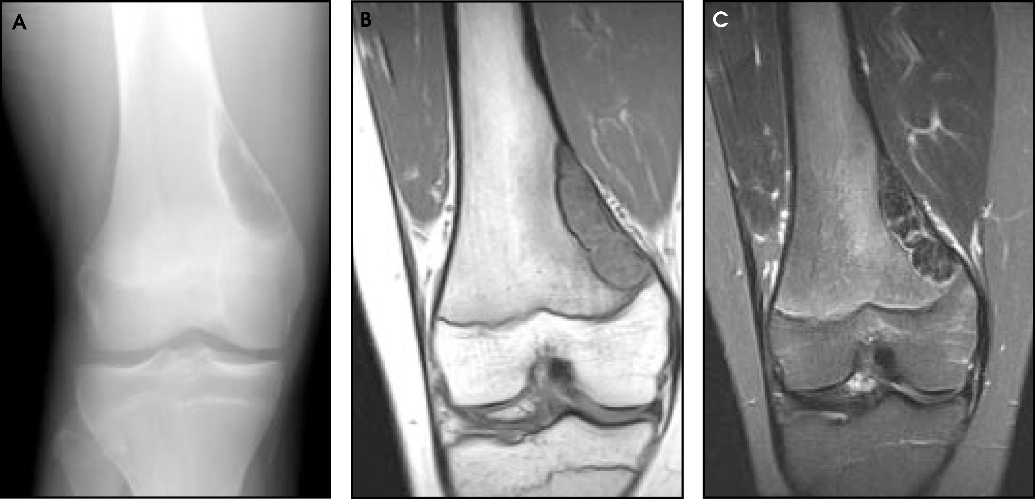 FIGURE 12.