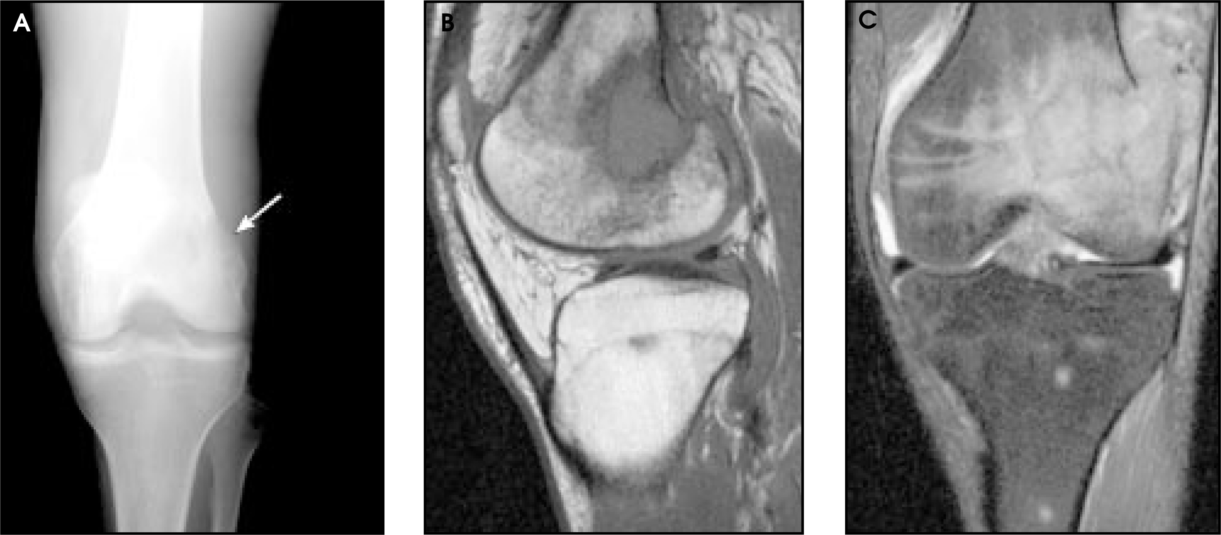 FIGURE 13.