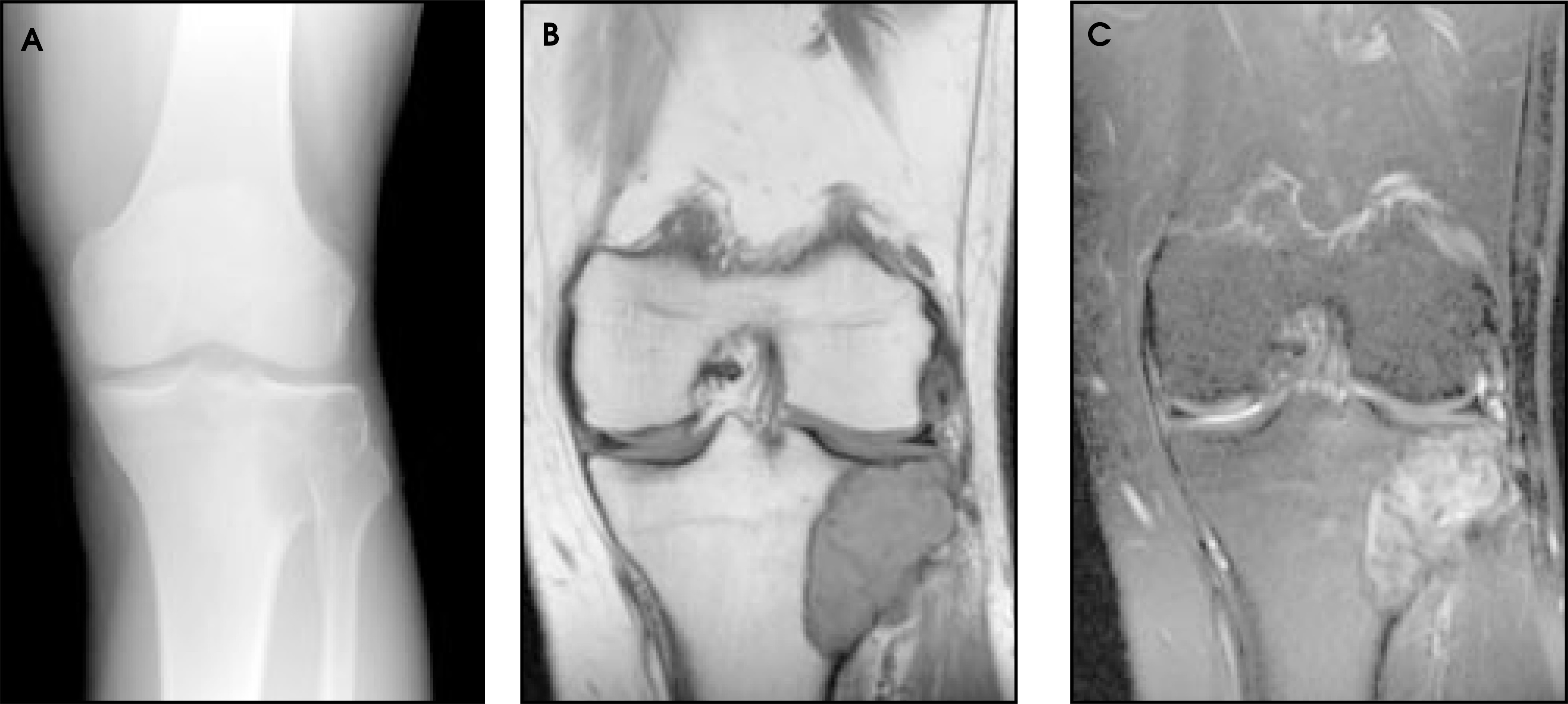 FIGURE 14.