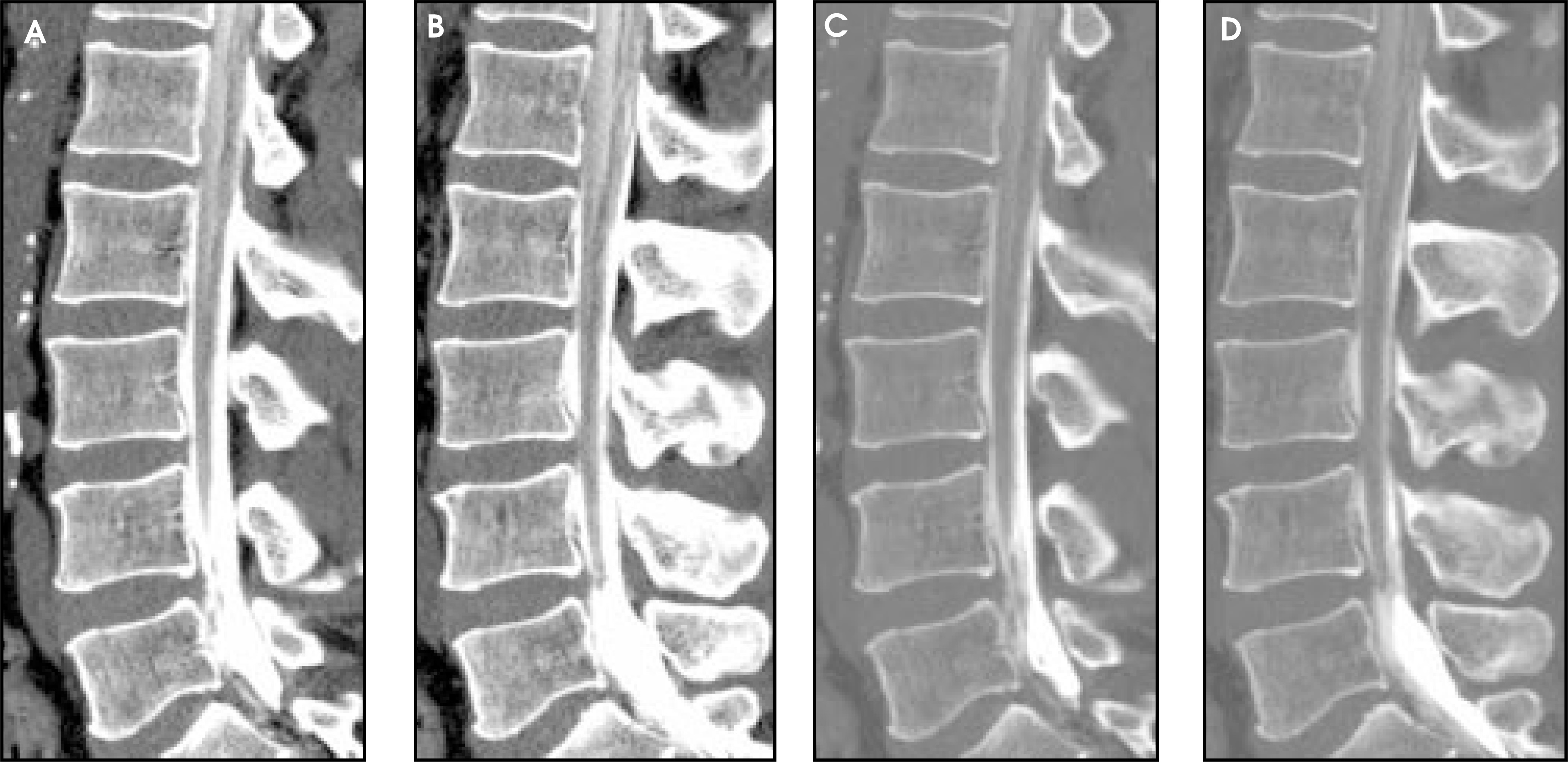 FIGURE 10.