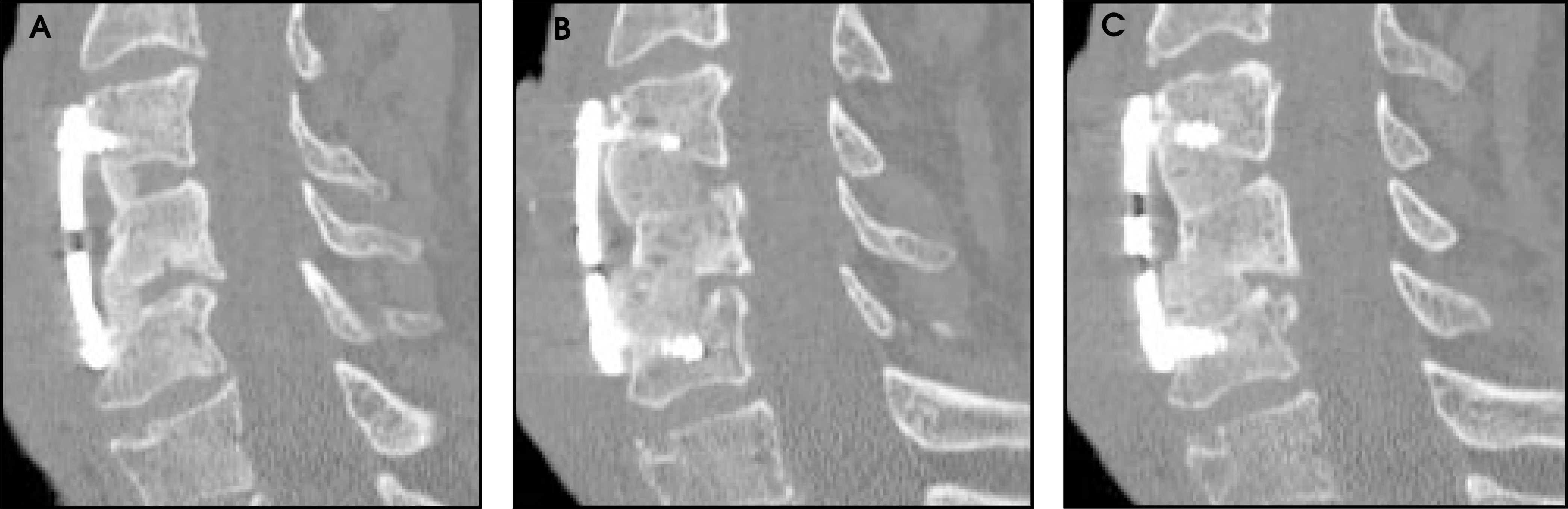 FIGURE 11.