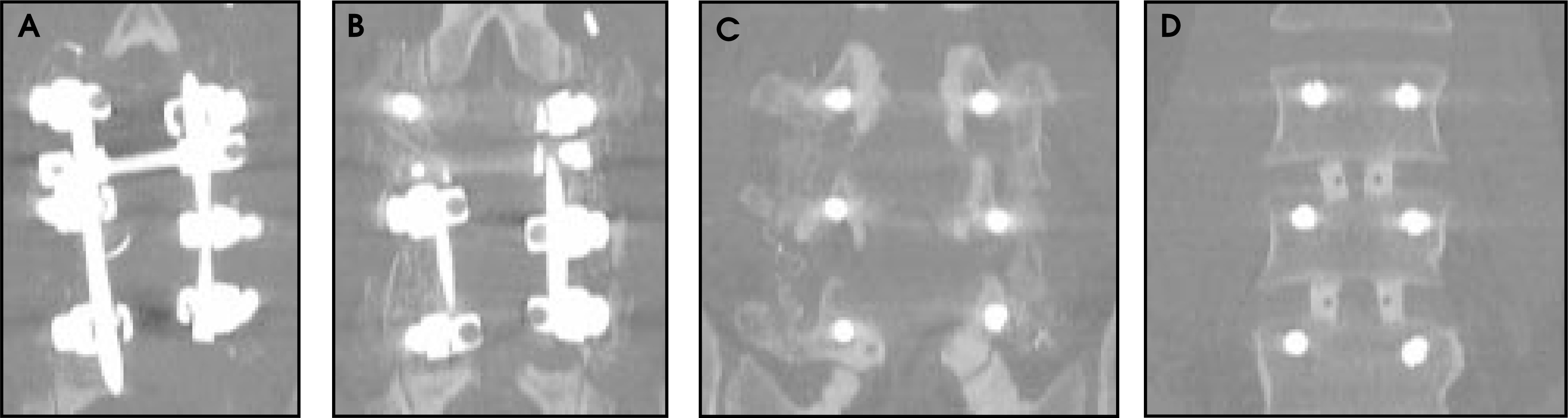 FIGURE 12.
