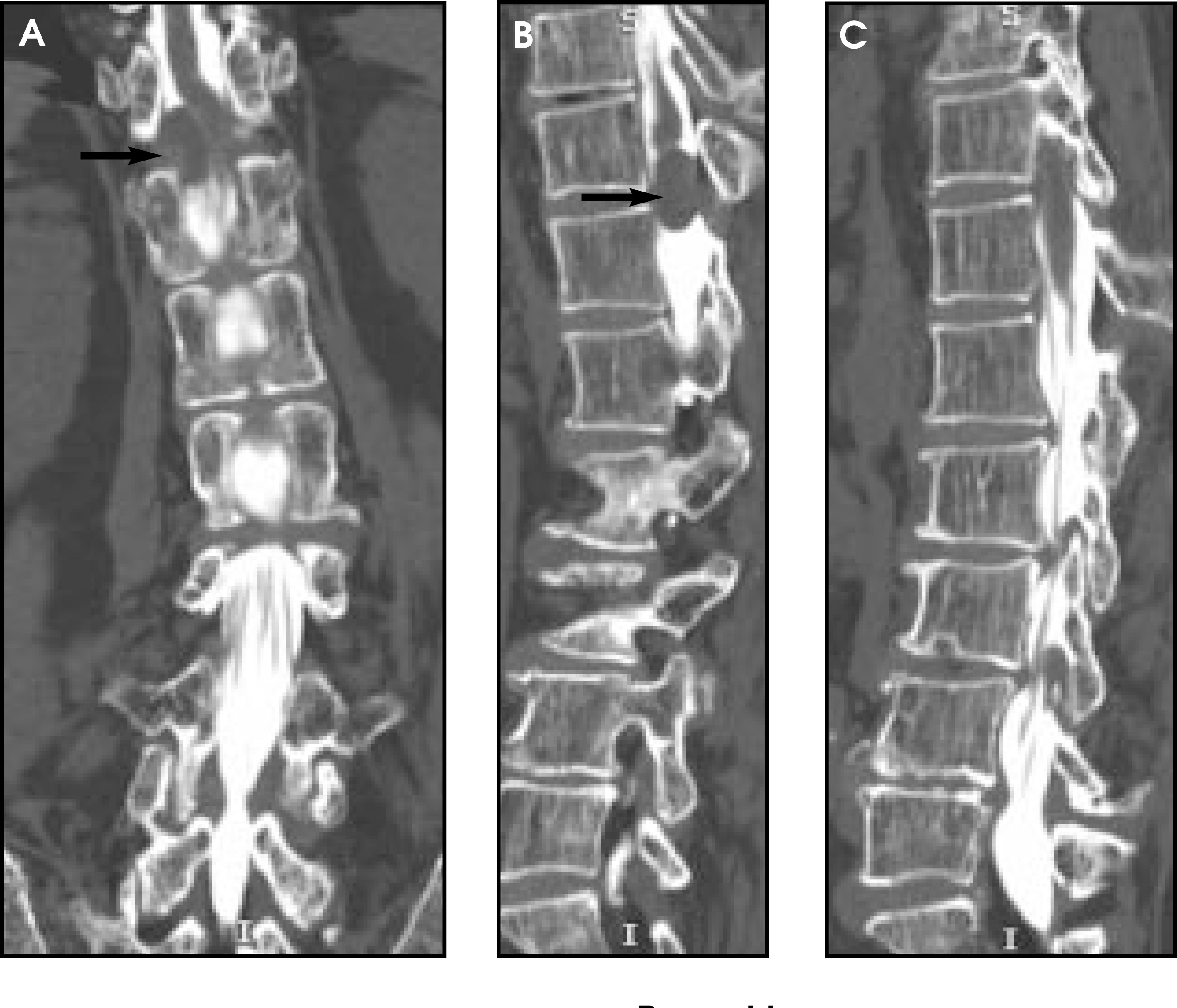FIGURE 13.
