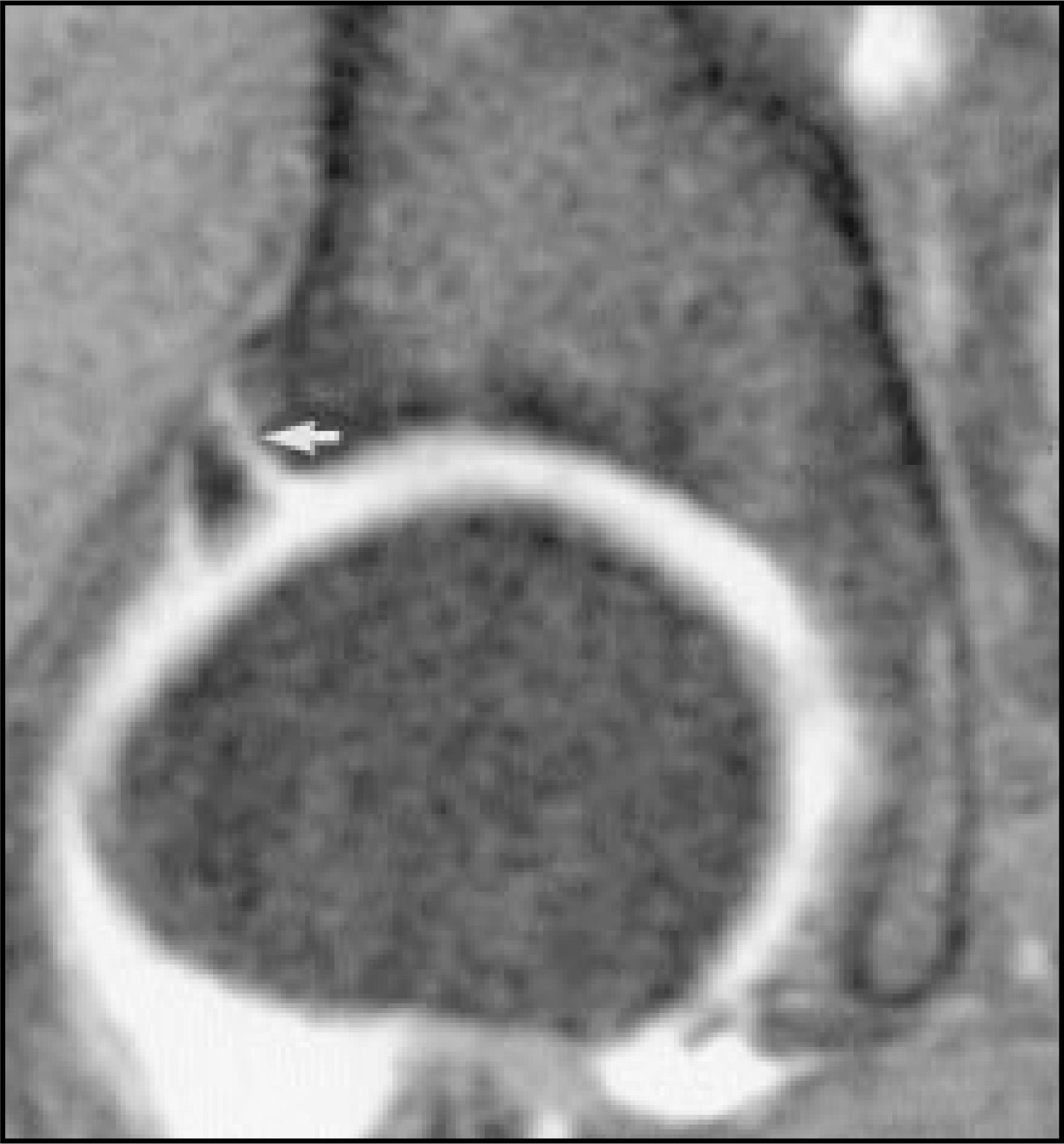 FIGURE 10.