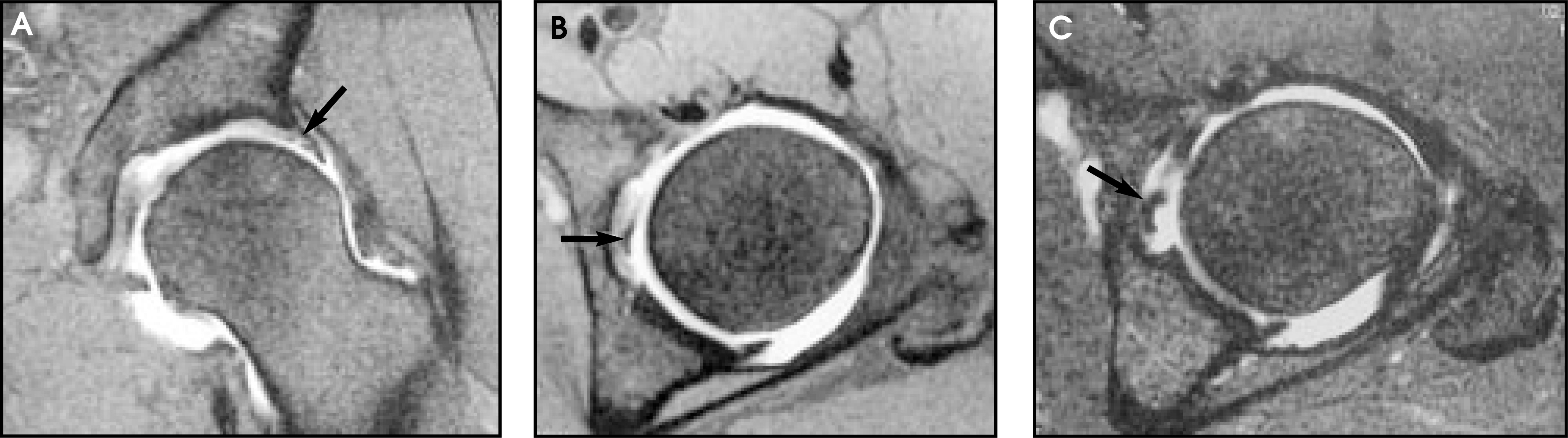 FIGURE 12.