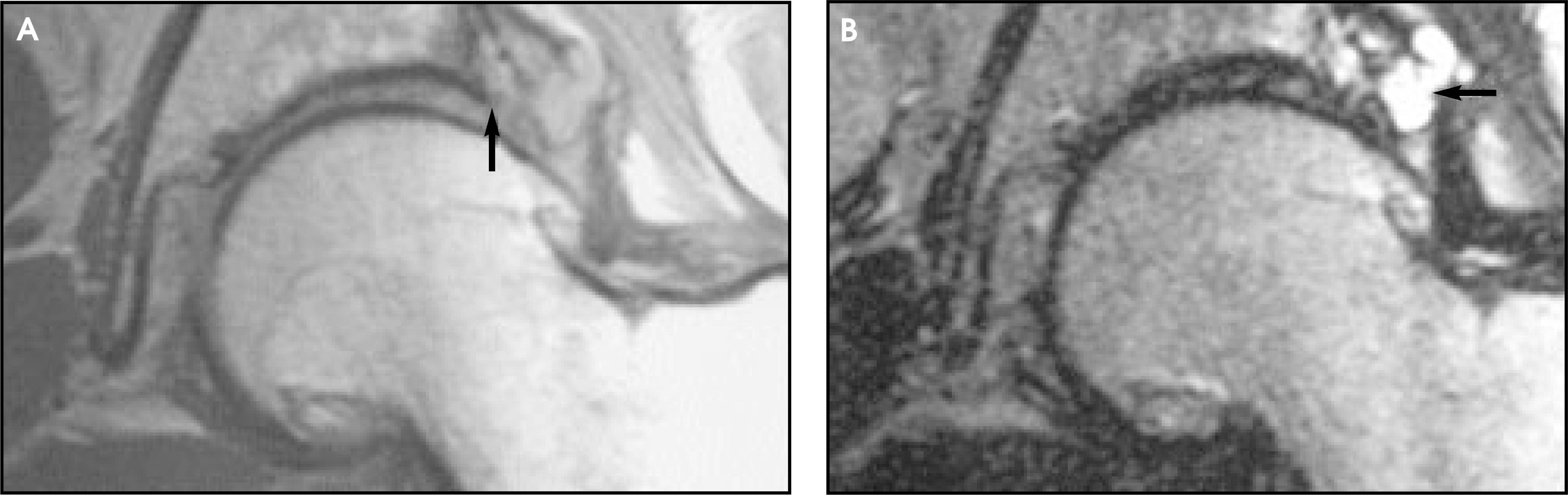 FIGURE 13.
