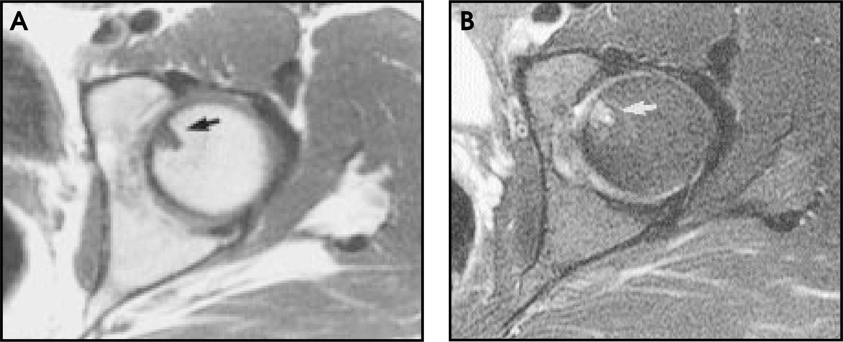 FIGURE 15.
