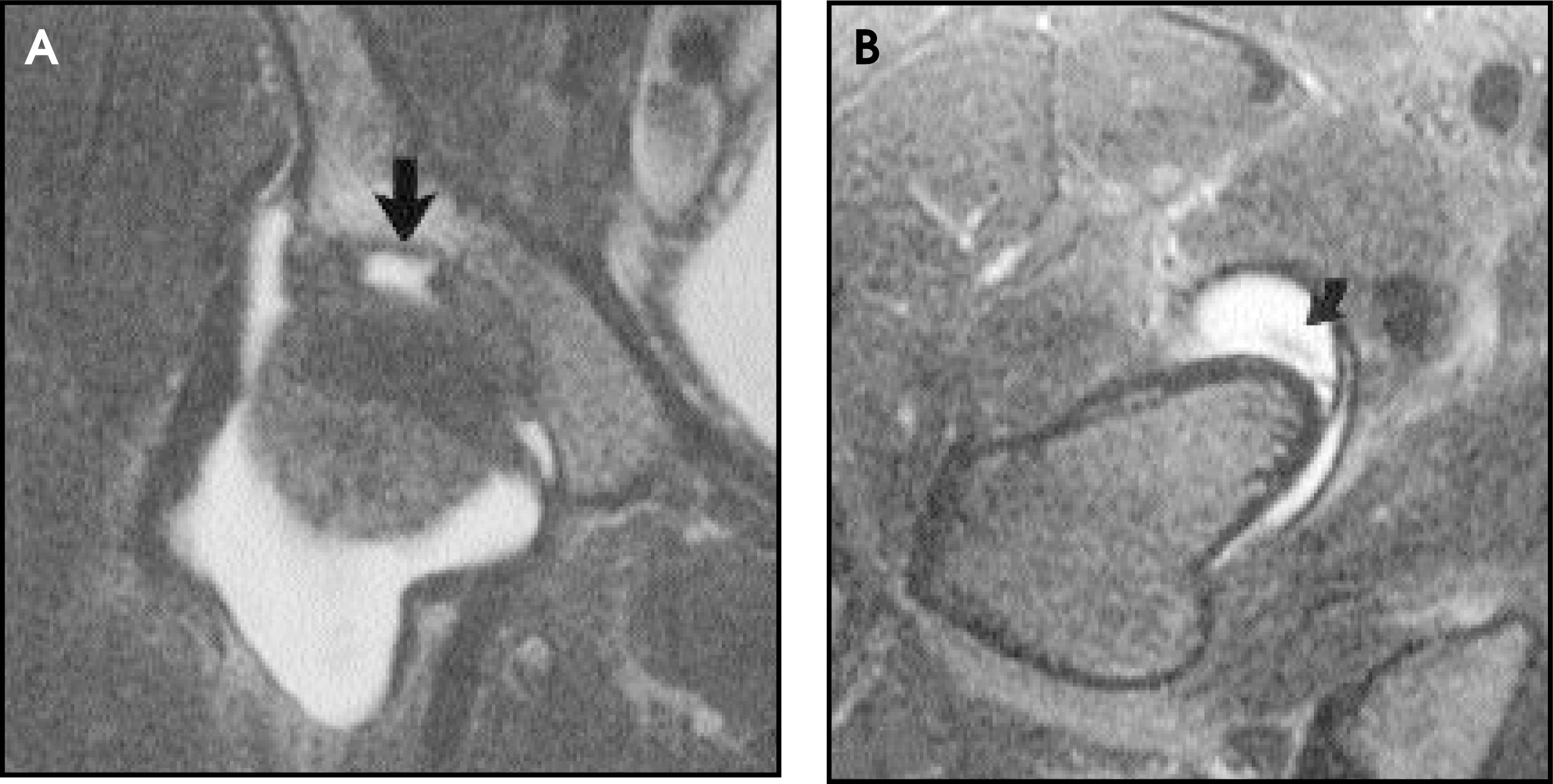 FIGURE 16.