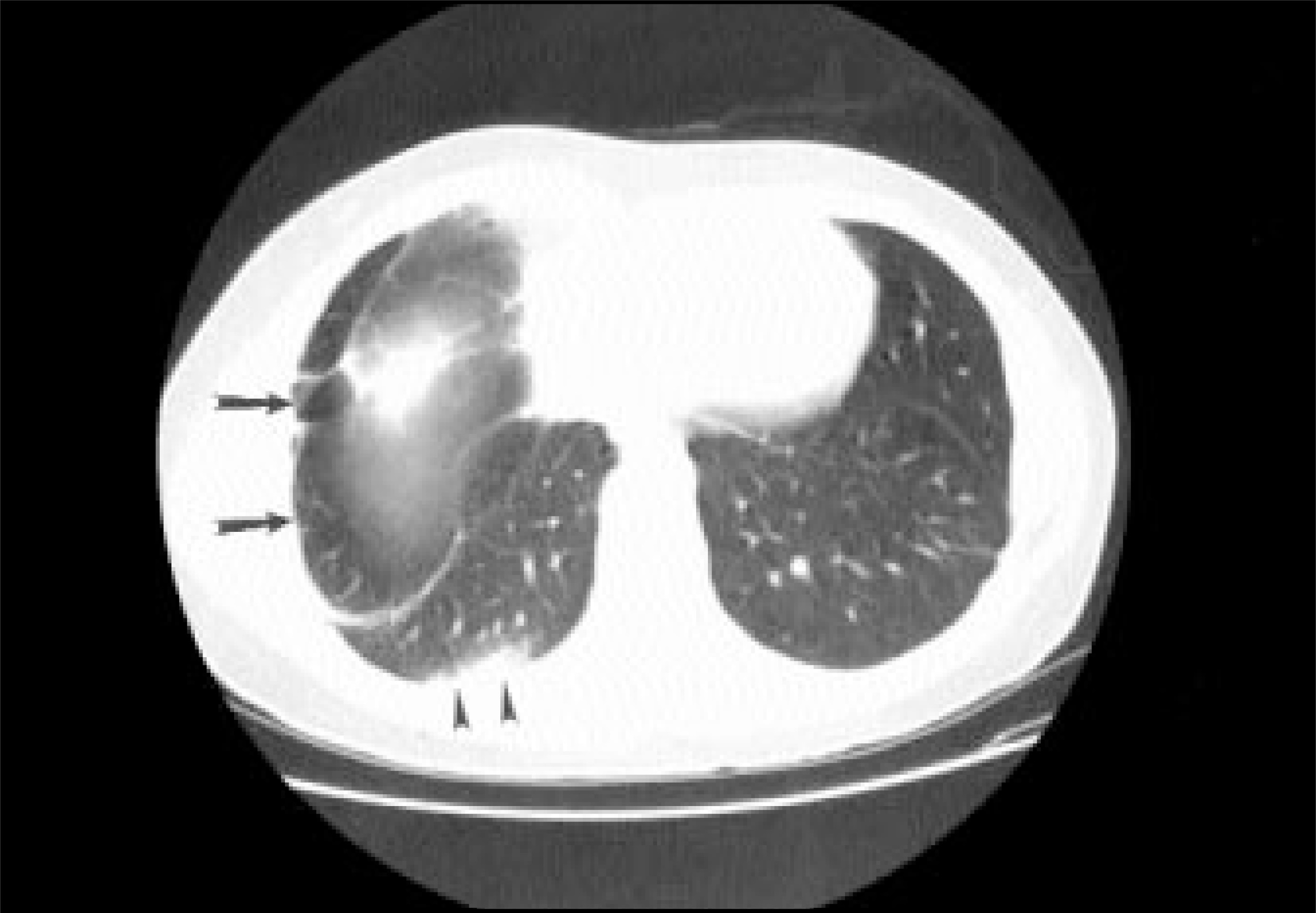 FIGURE 1.