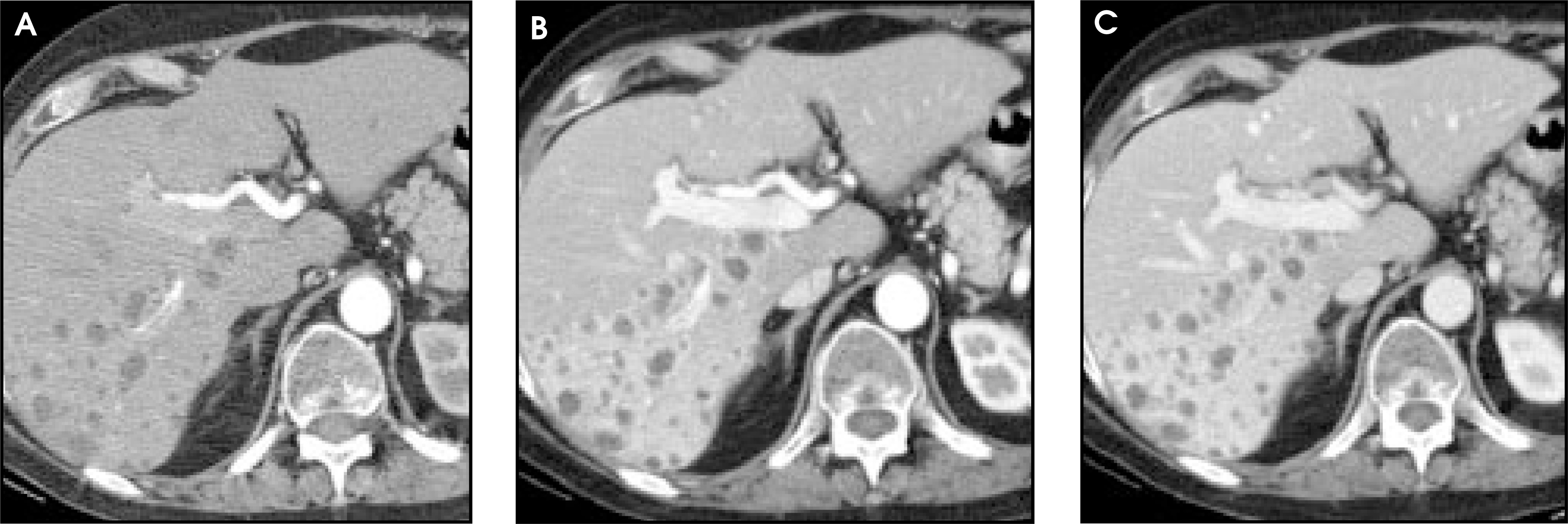 FIGURE 12.