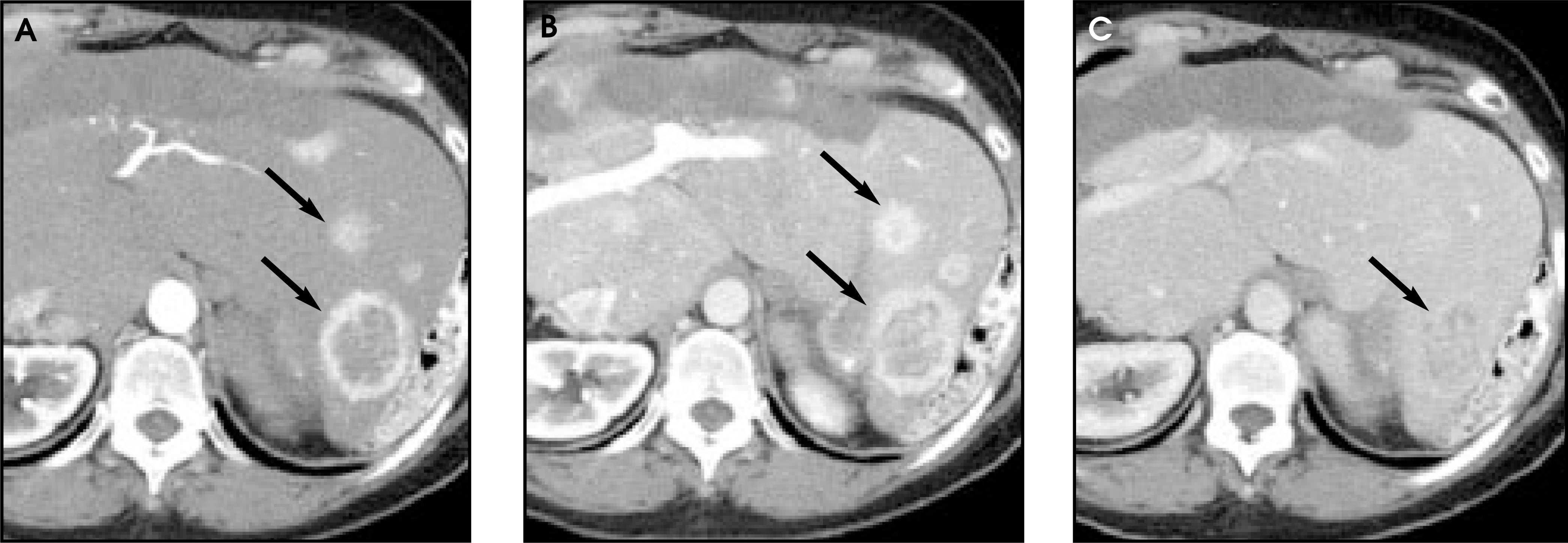 FIGURE 13.